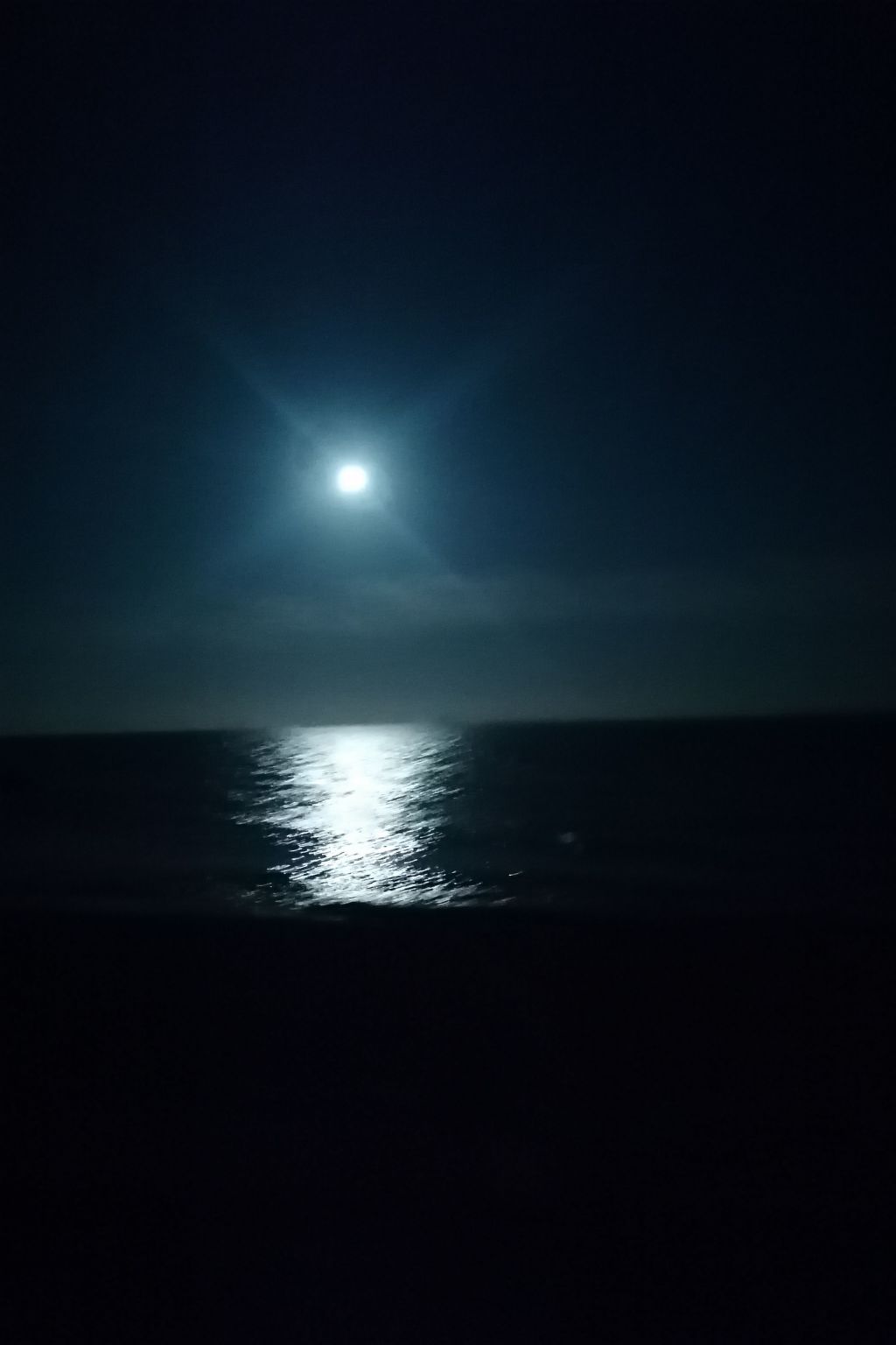 "Stewart" mit Blick auf das Wasser-Image-tags.info