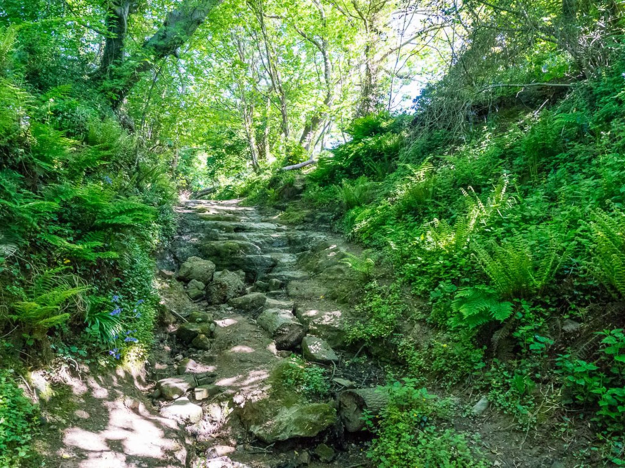 Schönes Ferienhaus in Hastings mit Whirlpool, Terrasse und Garten-Binnen