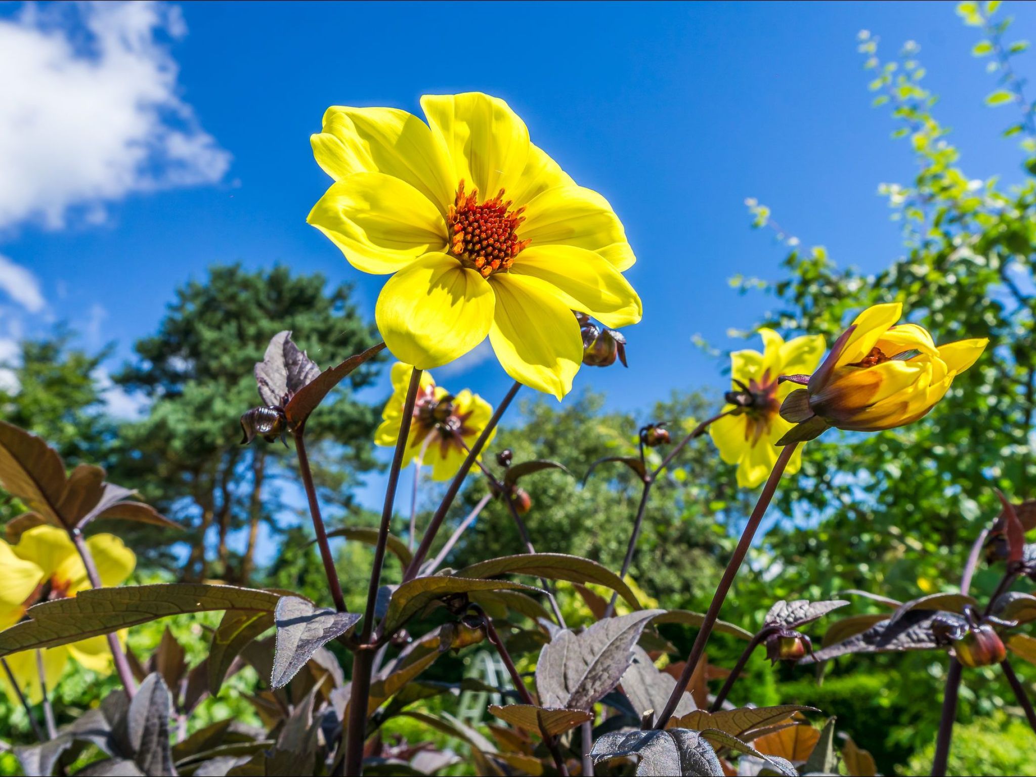Schönes Ferienhaus in Hastings mit Whirlpool, Terrasse und Garten-Binnen