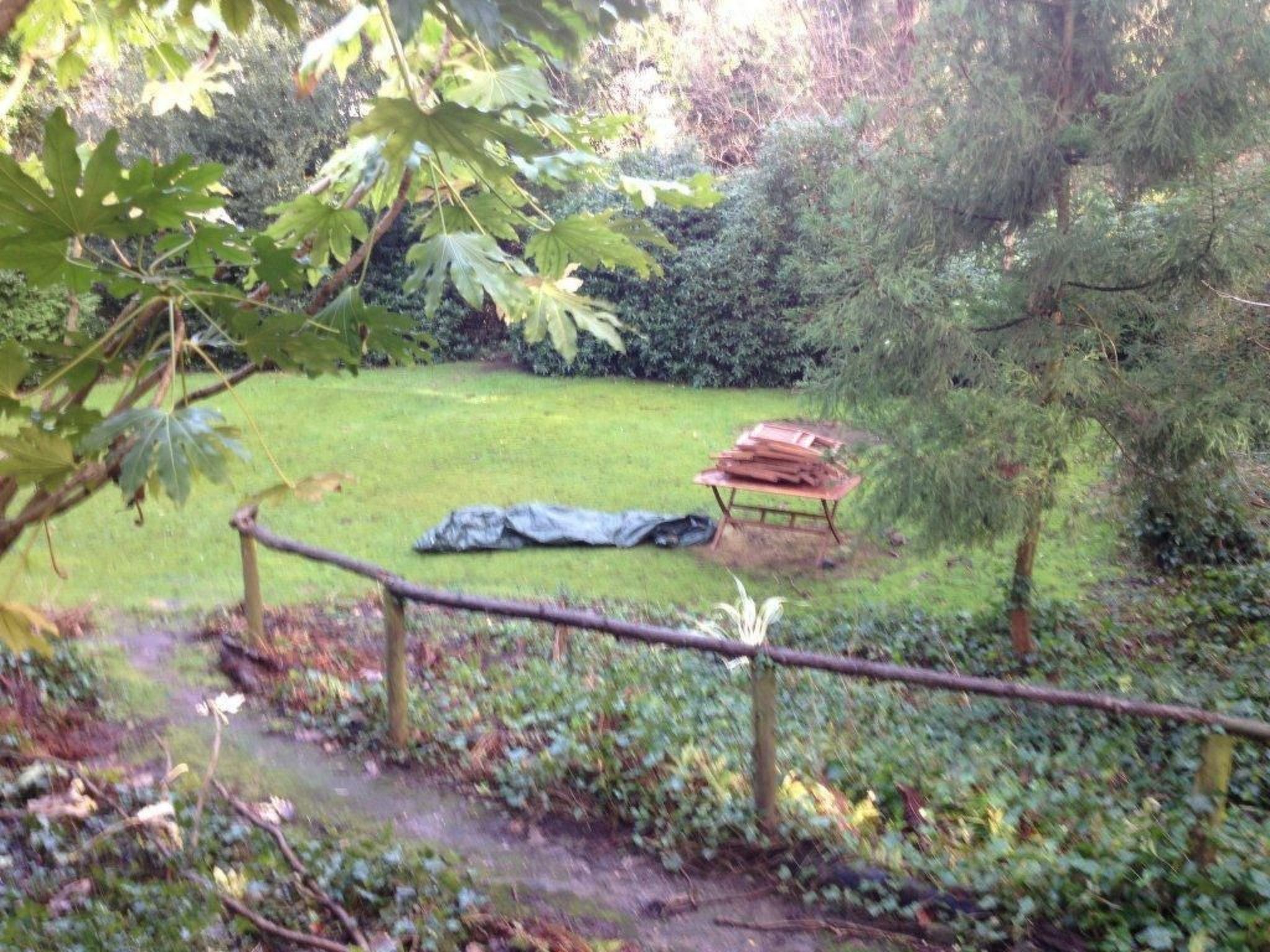 In einer Villa mit herrlichem Garten und Katze-Image-tags.info