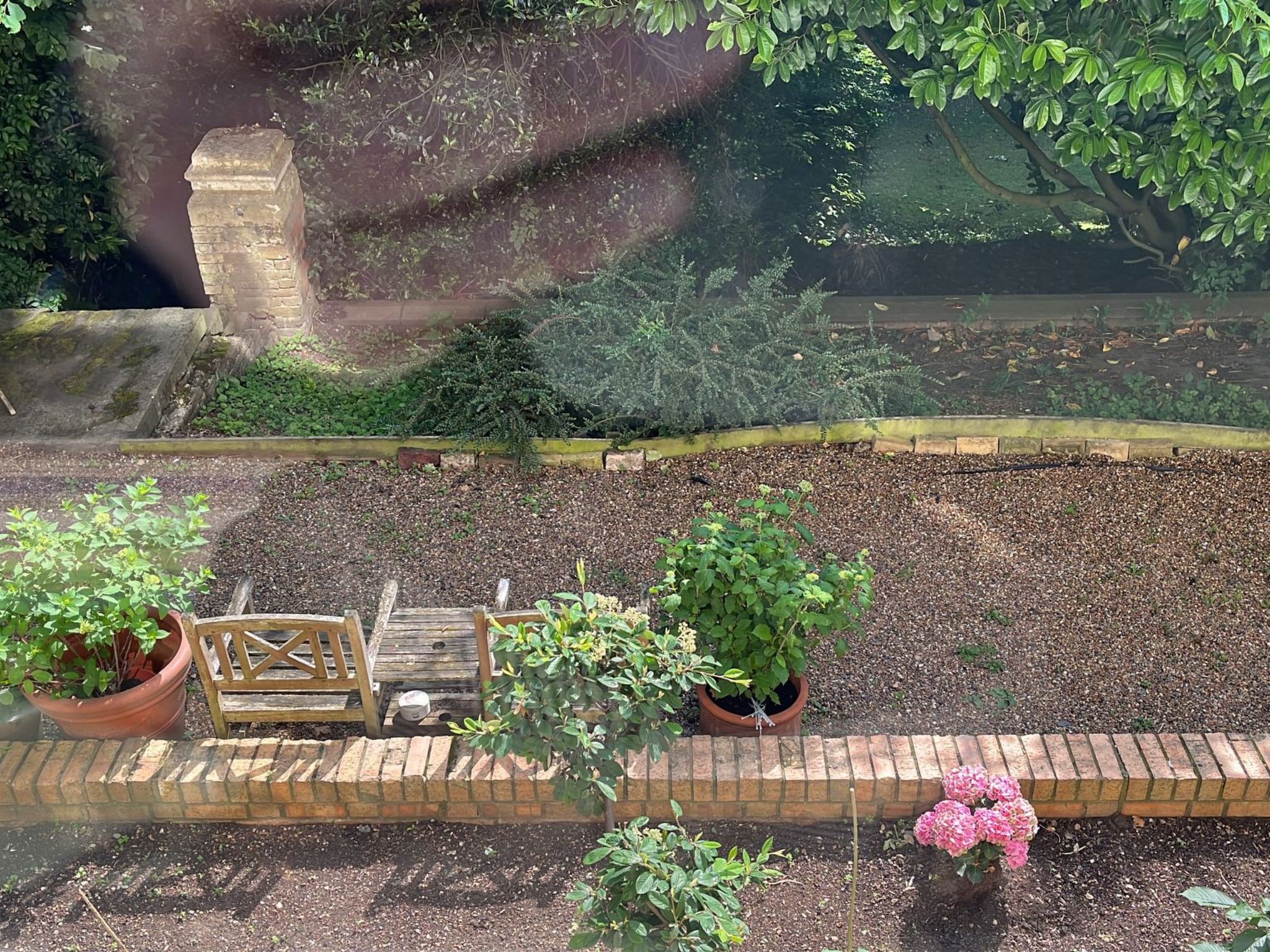 In einer Villa mit herrlichem Garten und Katze-Draußen