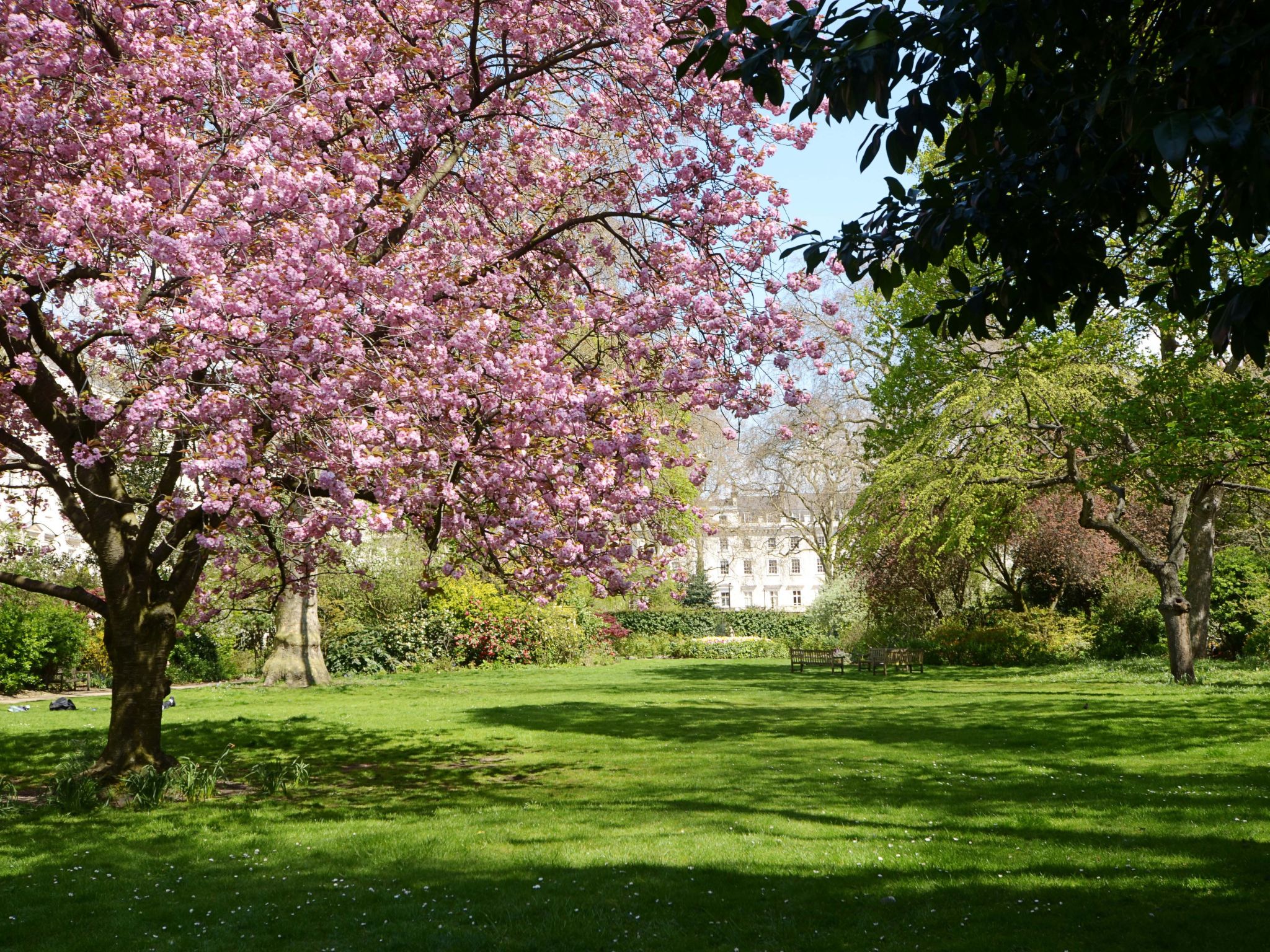 Riant rijtjeshuis van 290m² in hartje Londen, Warwick Square Pimlico - foto 22
