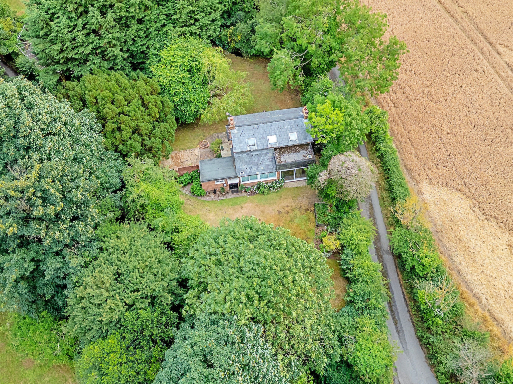 Hollybush Studio