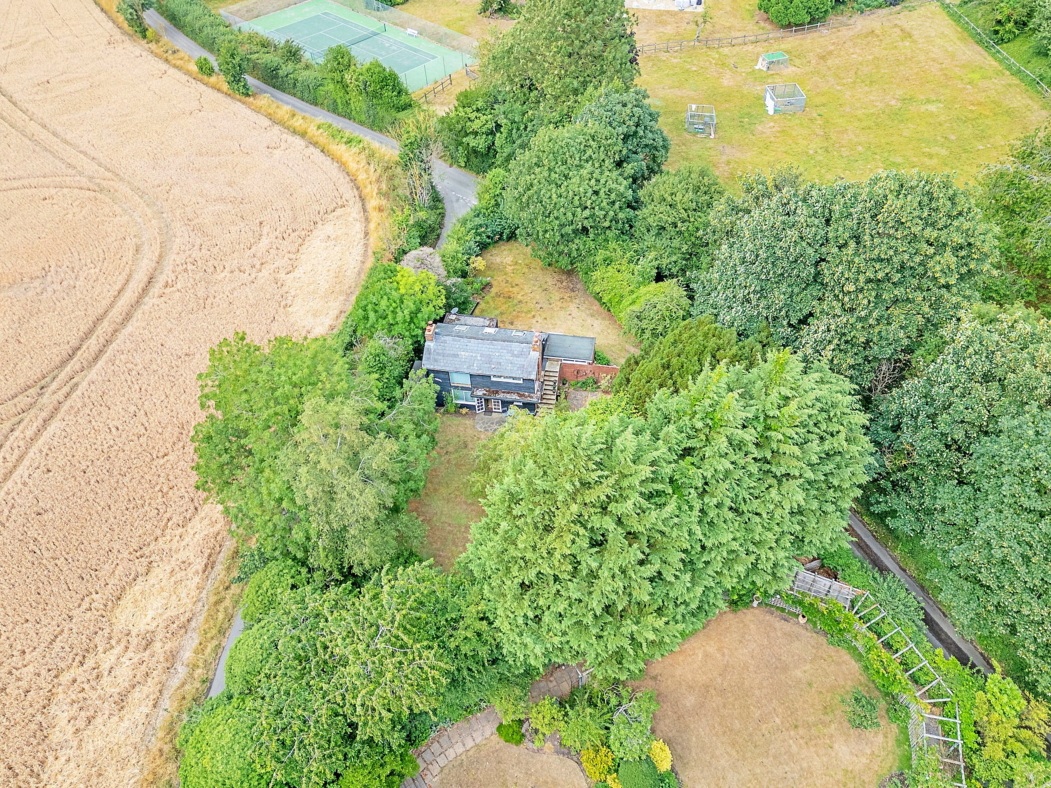 Hollybush Studio - Buiten