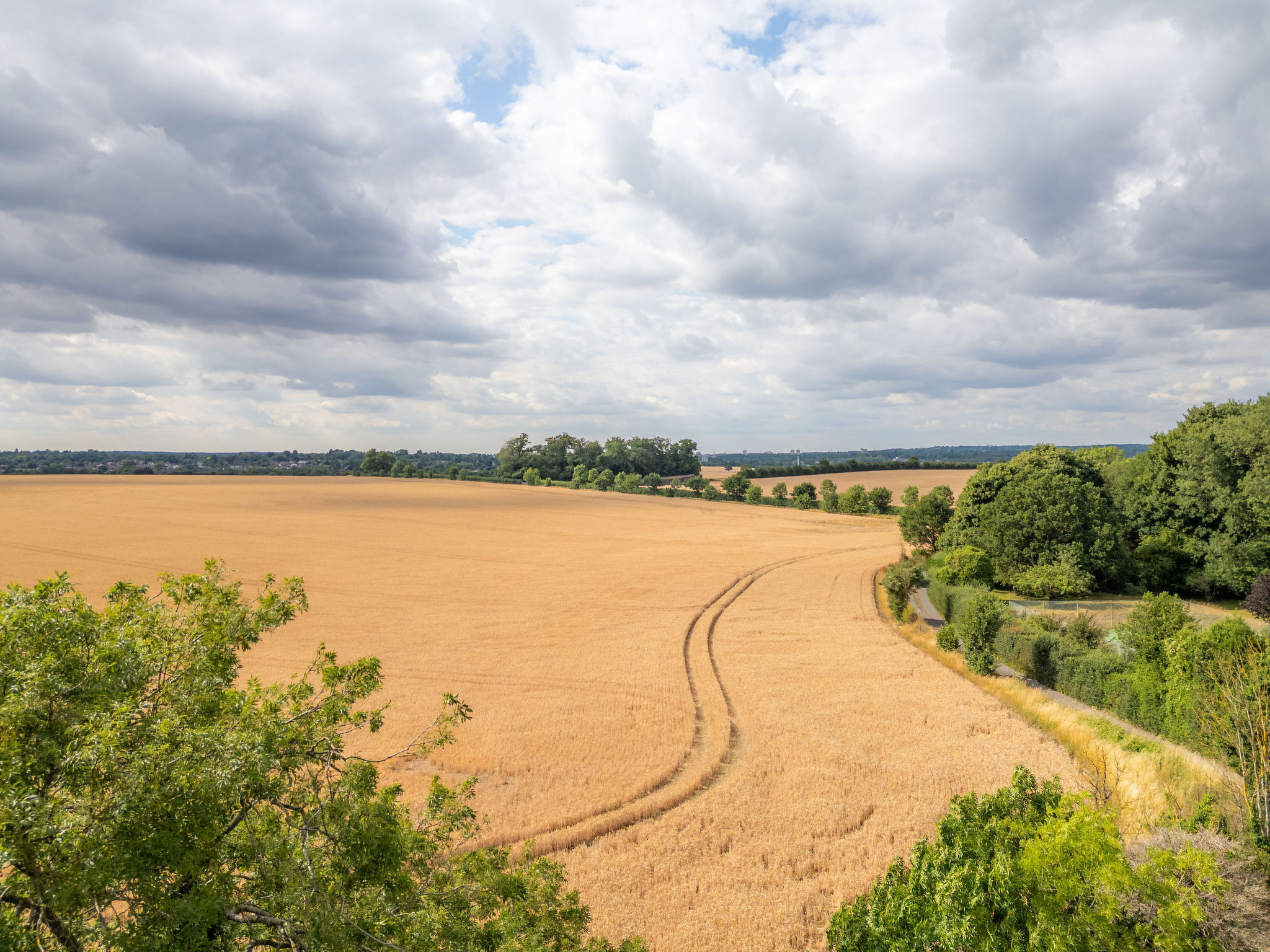 Hollybush Studio - Binnen