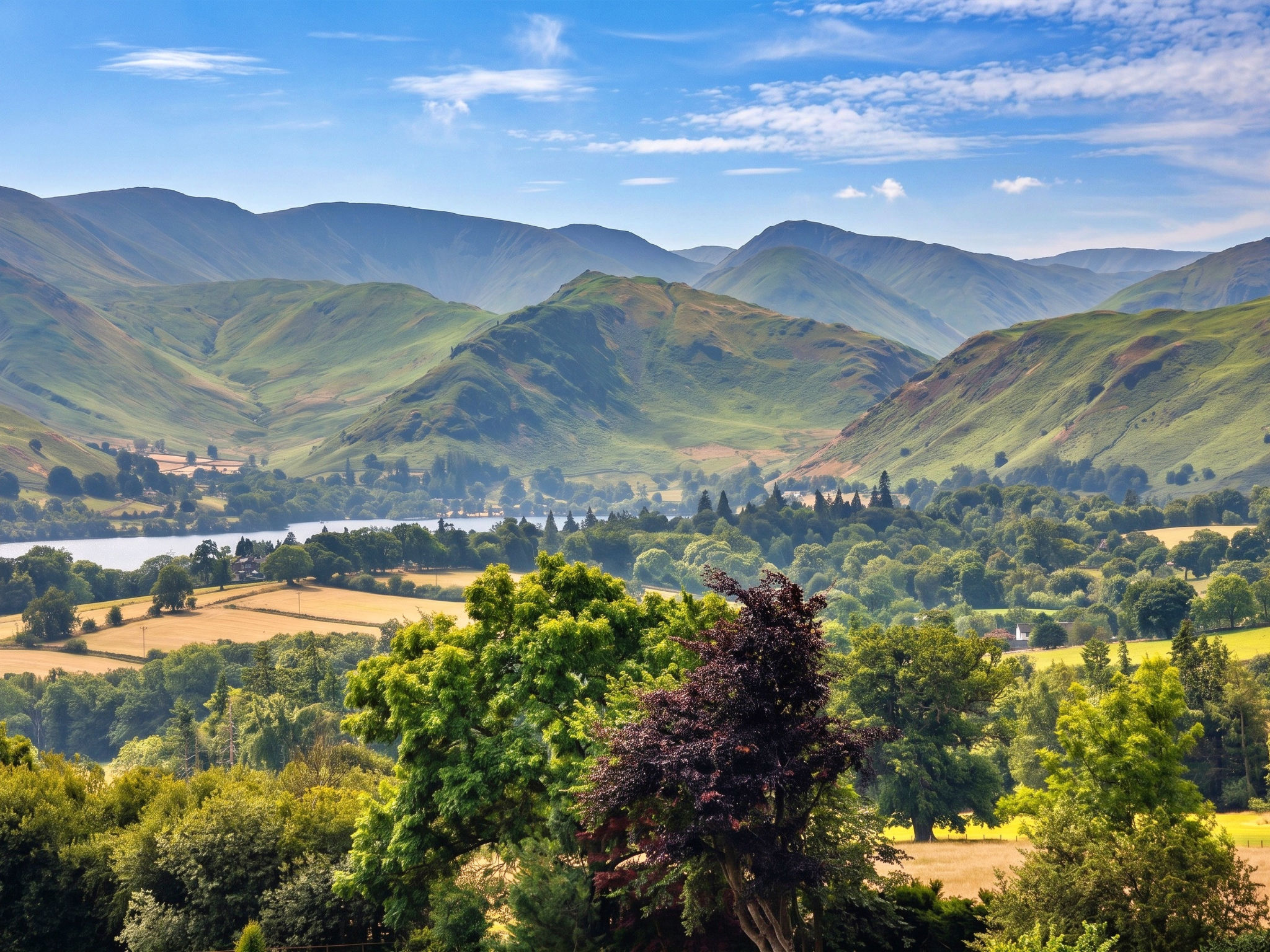 Willow's View