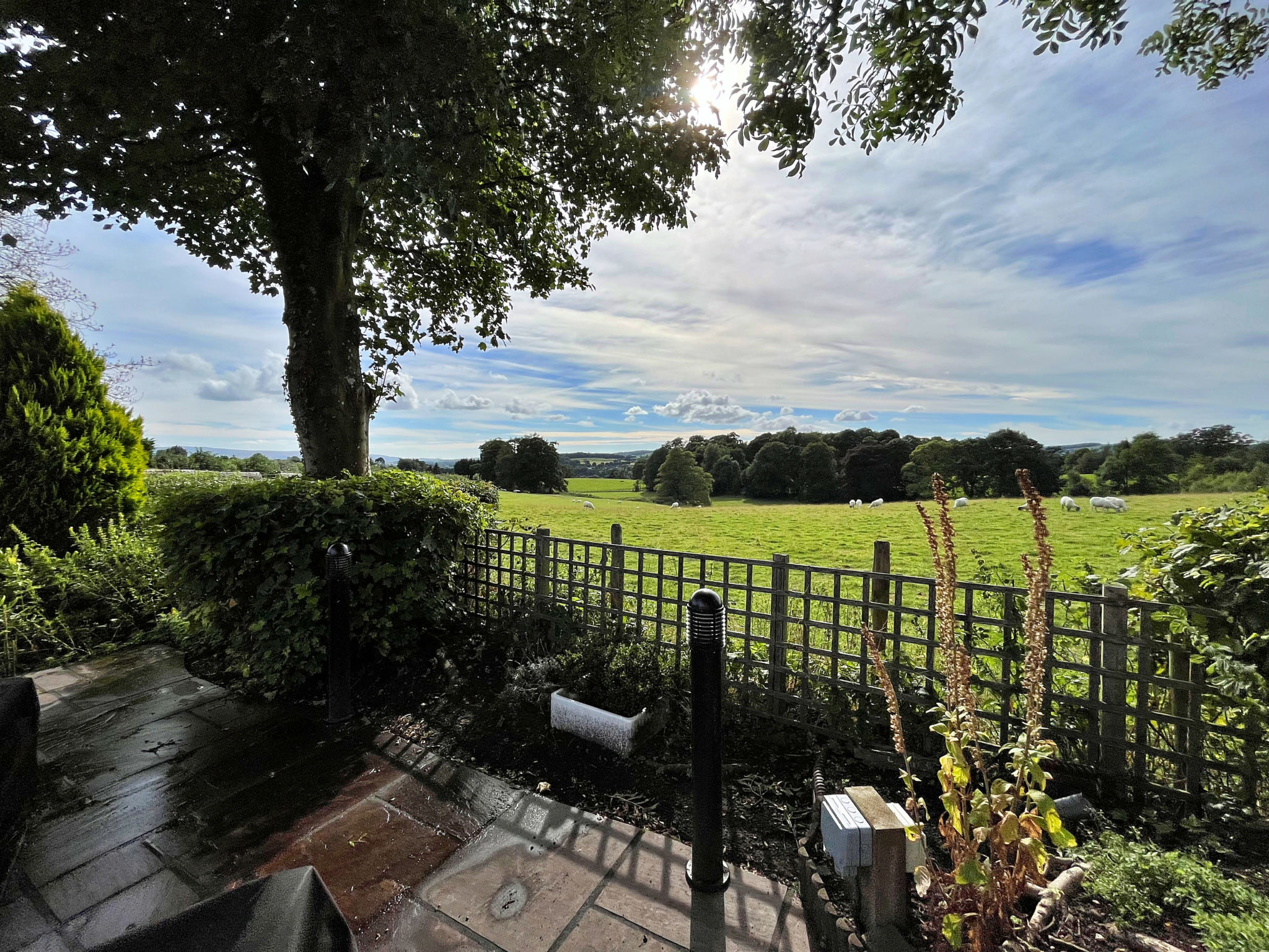 Ivy Cottage-Buiten