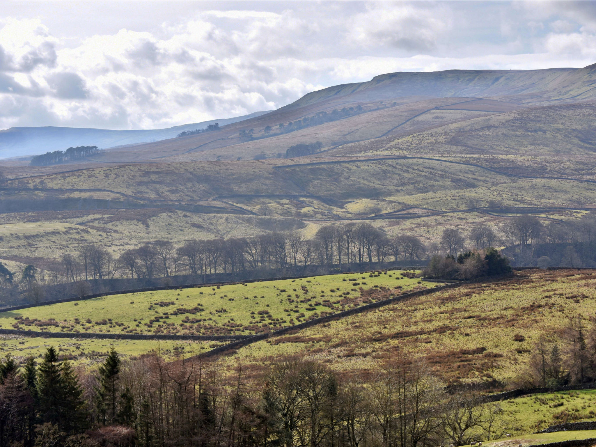 Dales Barn Top-Binnen