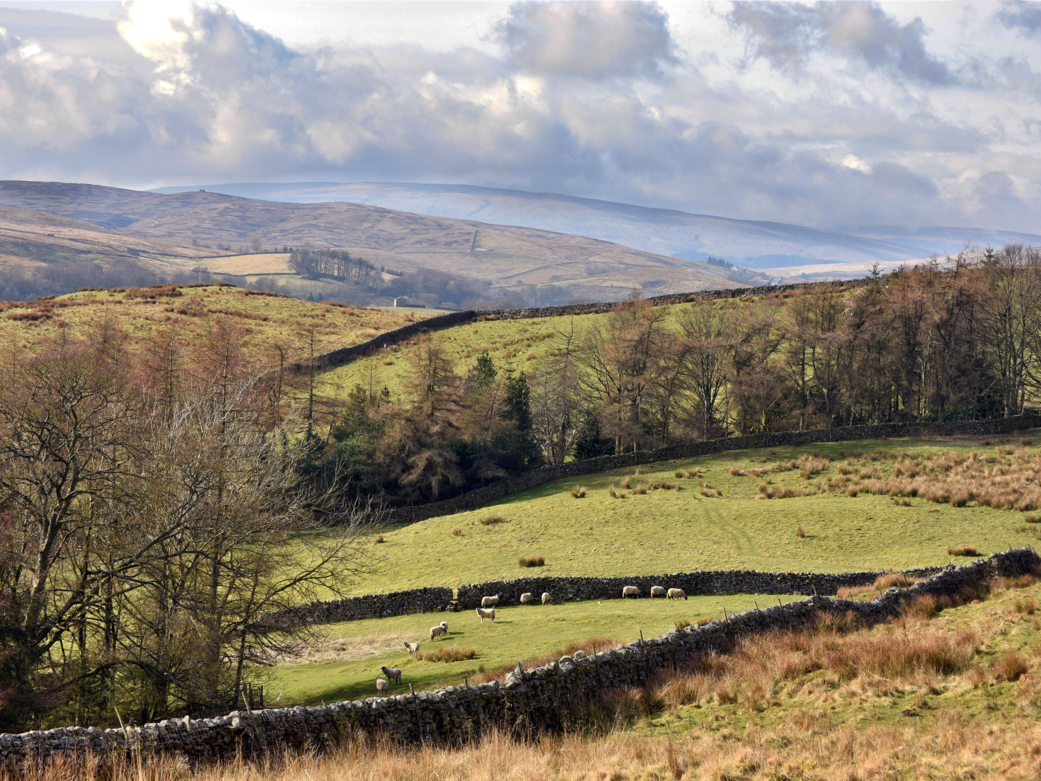 Dales Barn Top