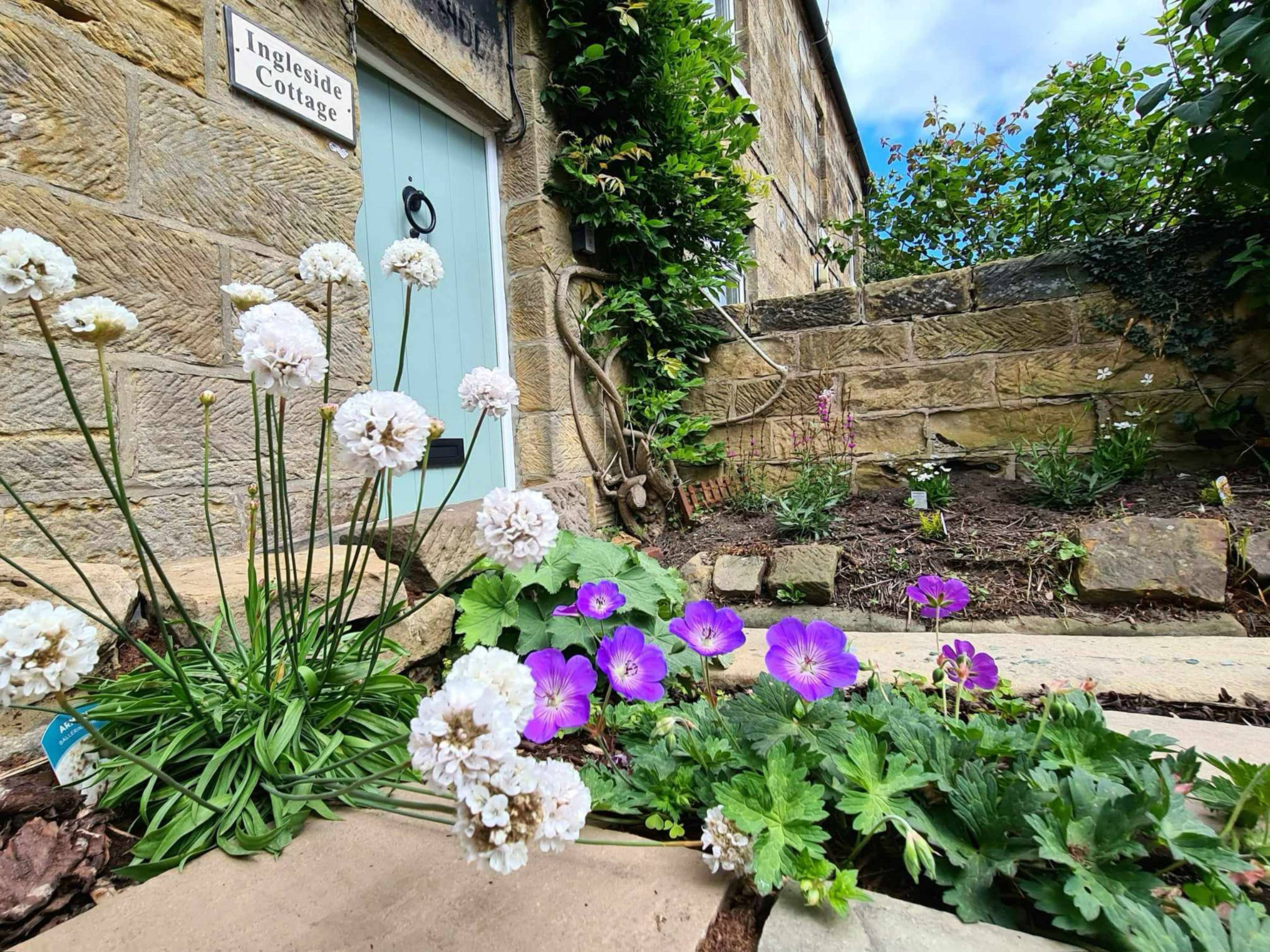 Ingleside Cottage - Binnen