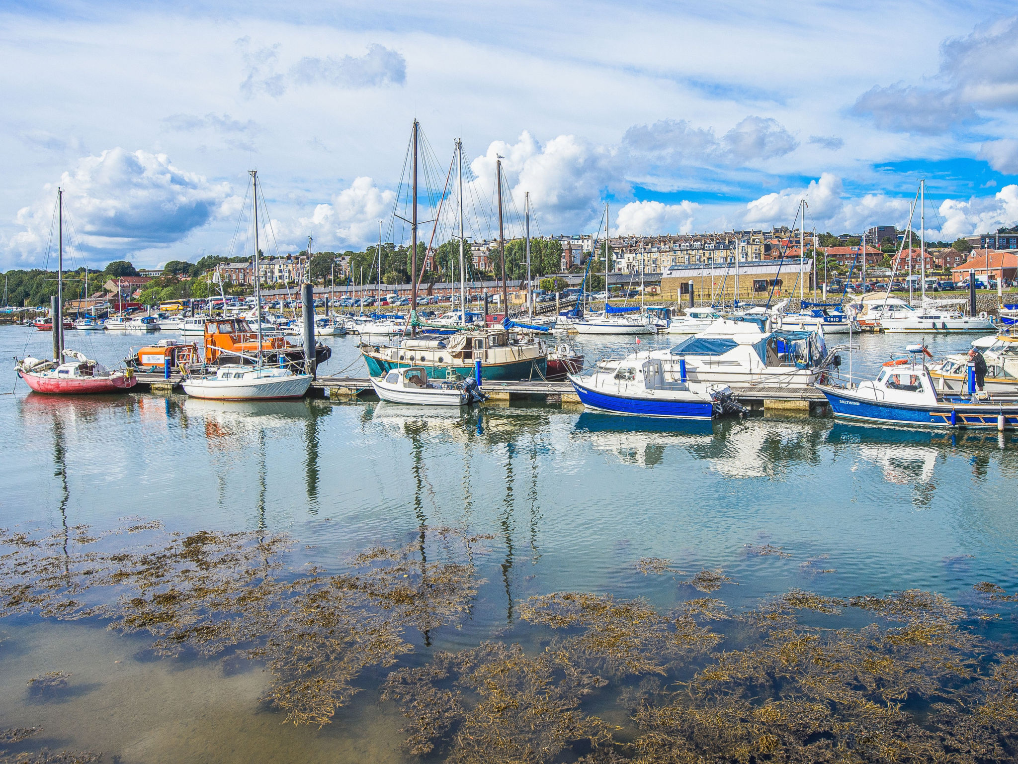 Mumbles Cottage-Binnen