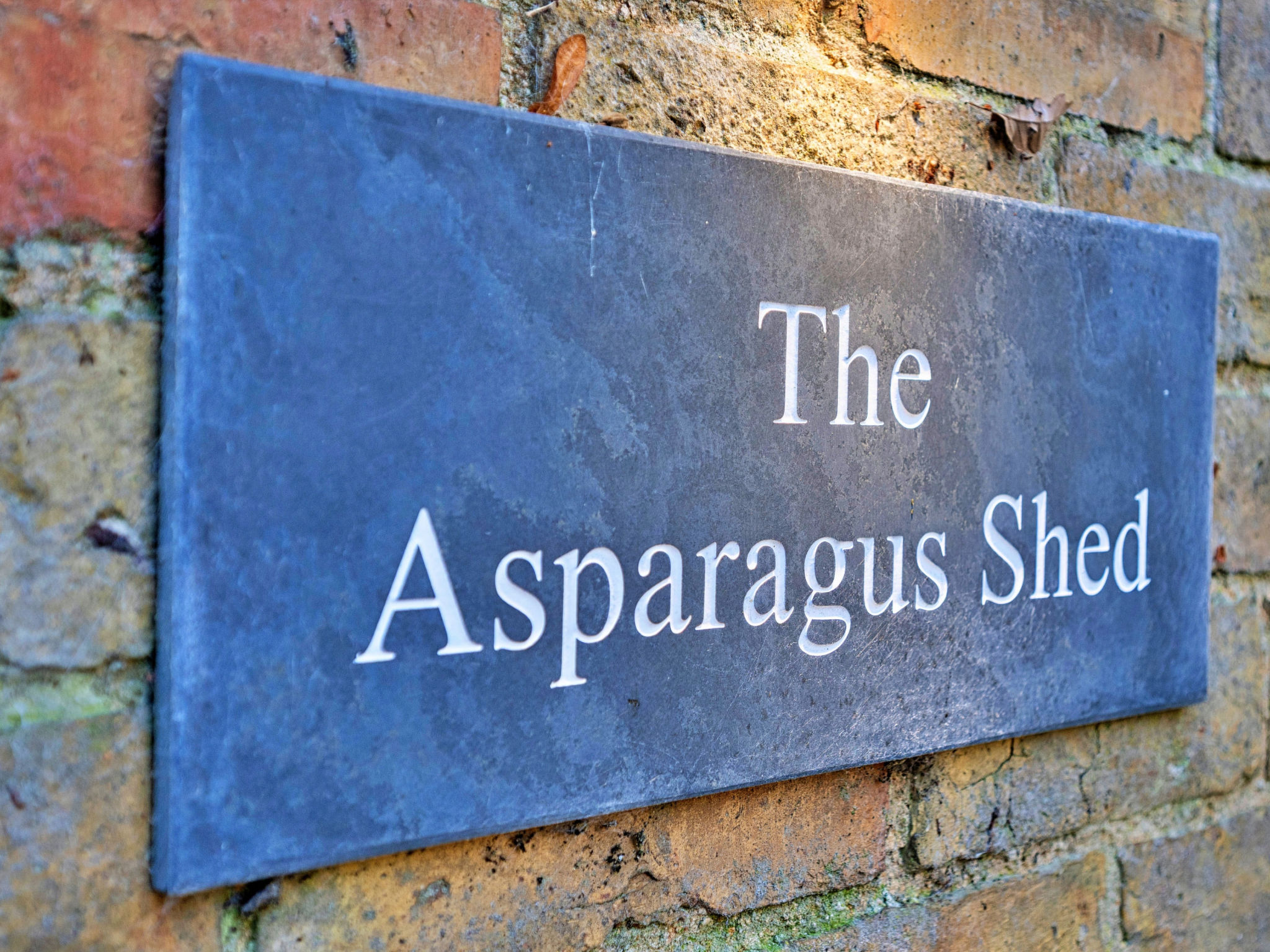 The Asparagus Shed - Outside
