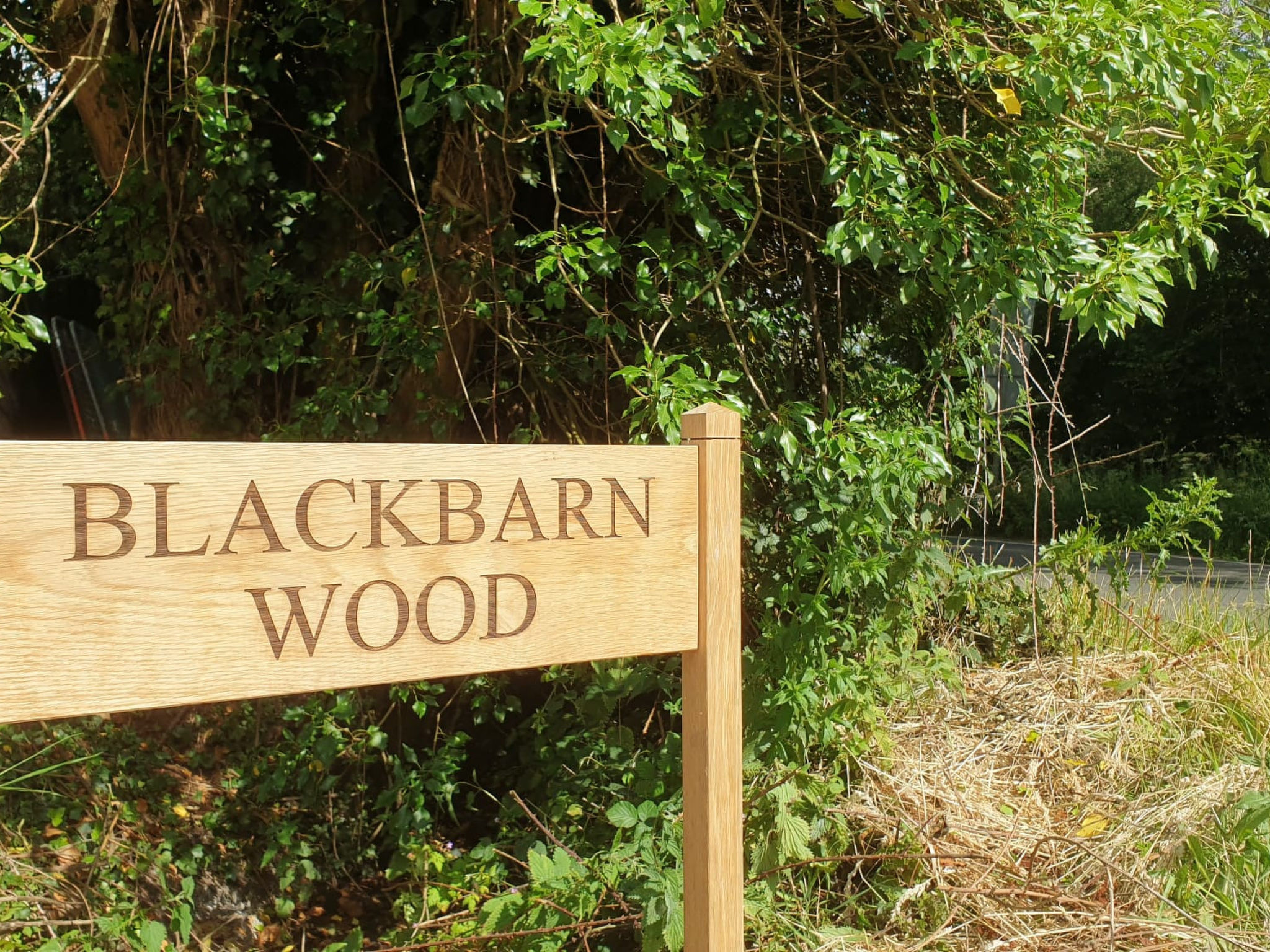Blackbarn Wood-Draußen
