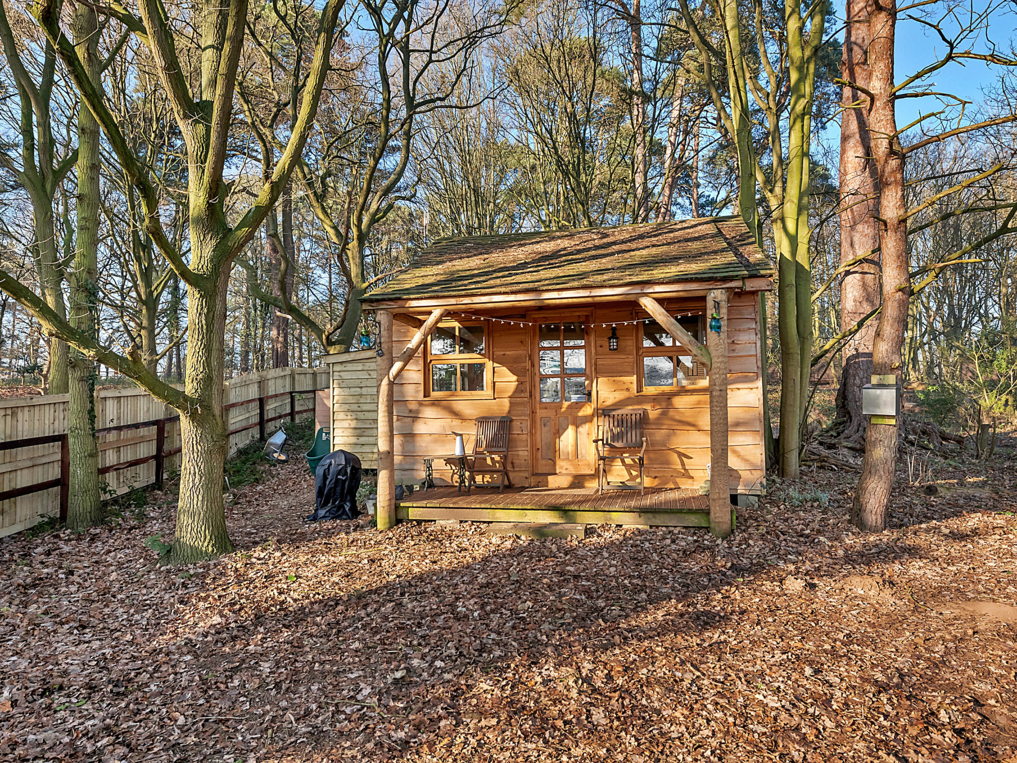 Cedar Lodge