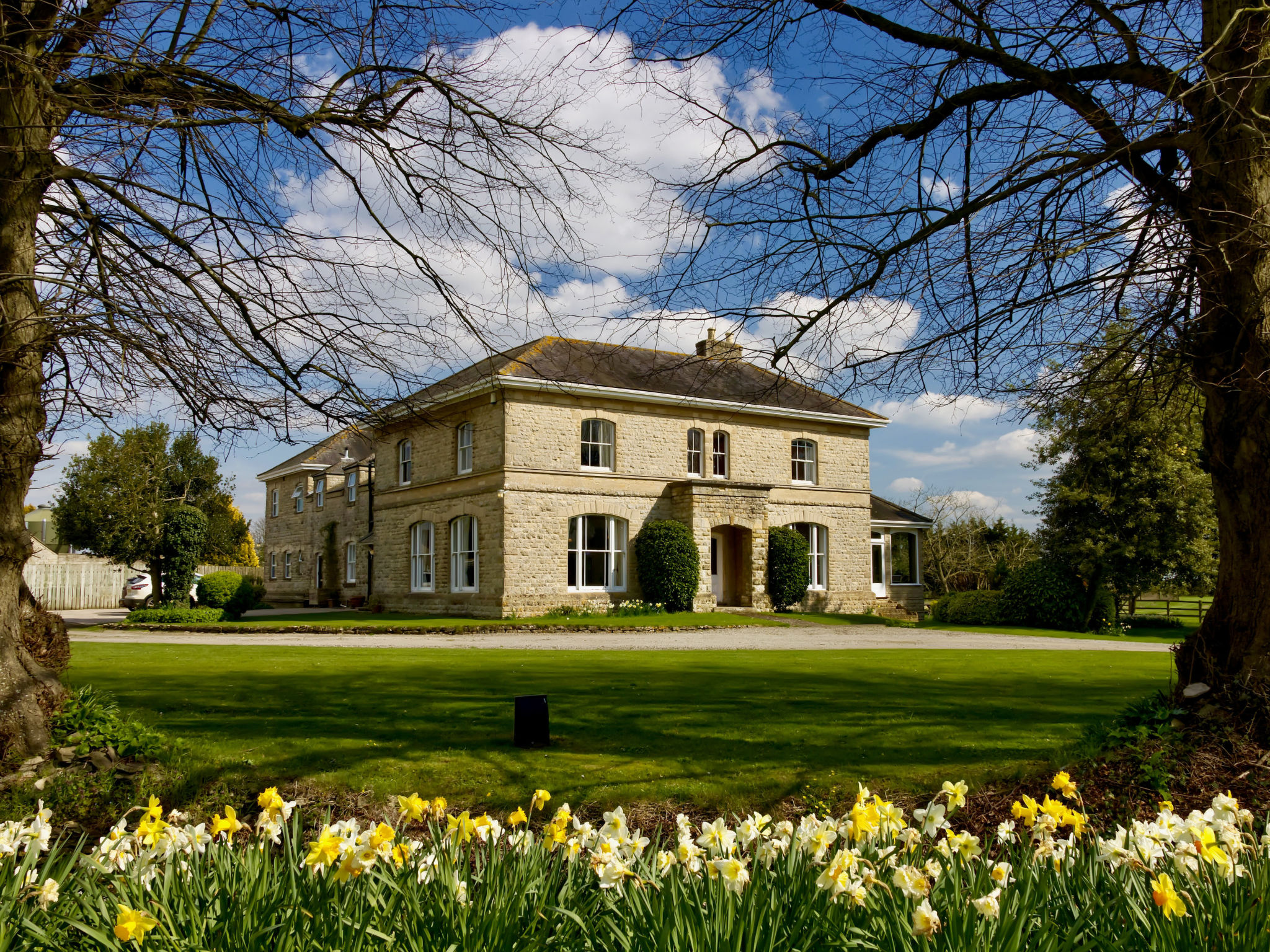 Walltree House - Buiten