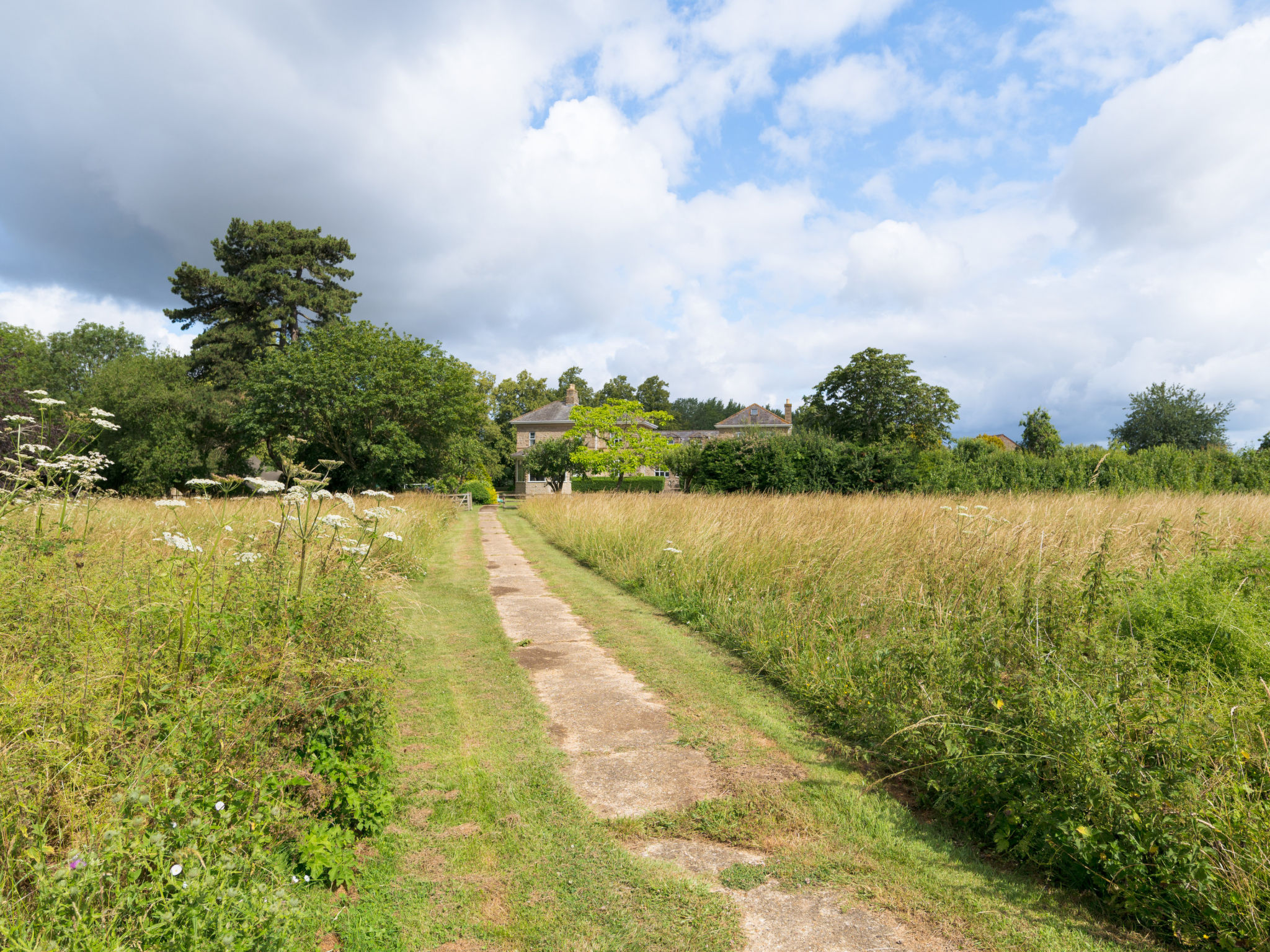 Walltree House