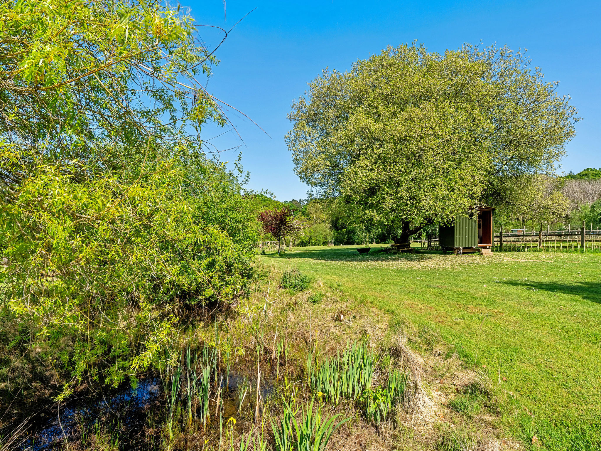 Shepherd's Hut at Hilltop Farm-Buiten