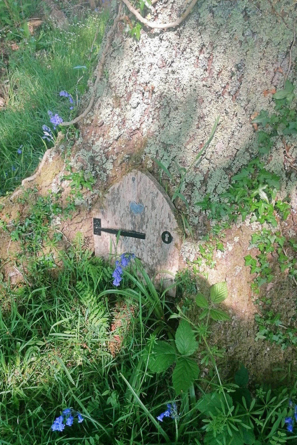 Shepherd's Hut at Hilltop Farm-Buiten