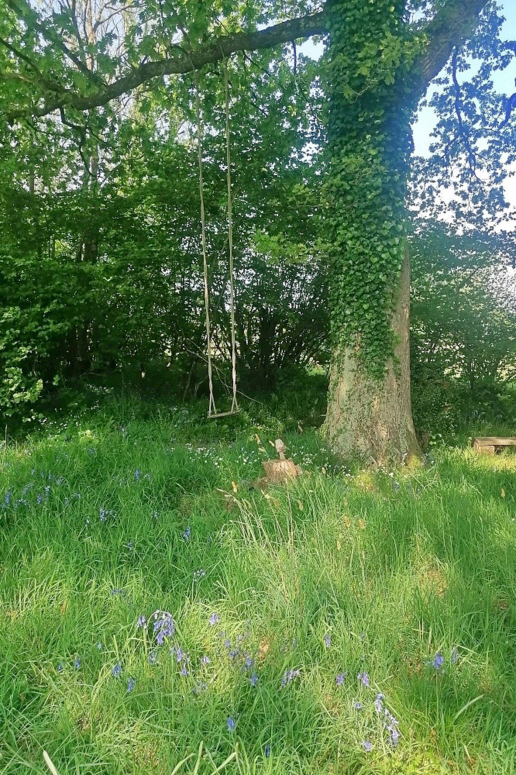 Shepherd's Hut at Hilltop Farm