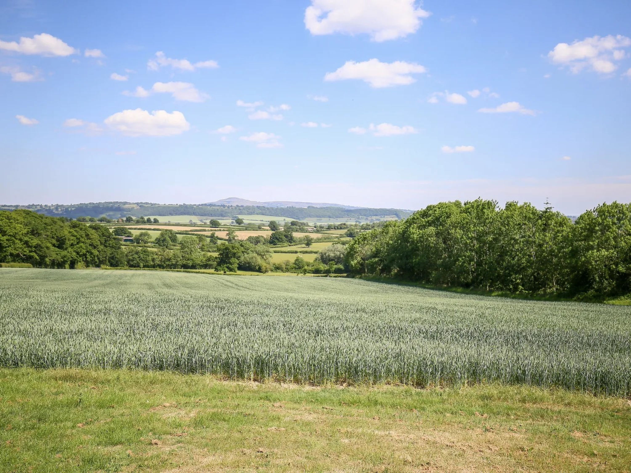 The Onibury-Draußen