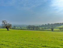 Knusse cottage voor 4 in Wincanton, met open haard & hondvriendelijk - thumbnail 3