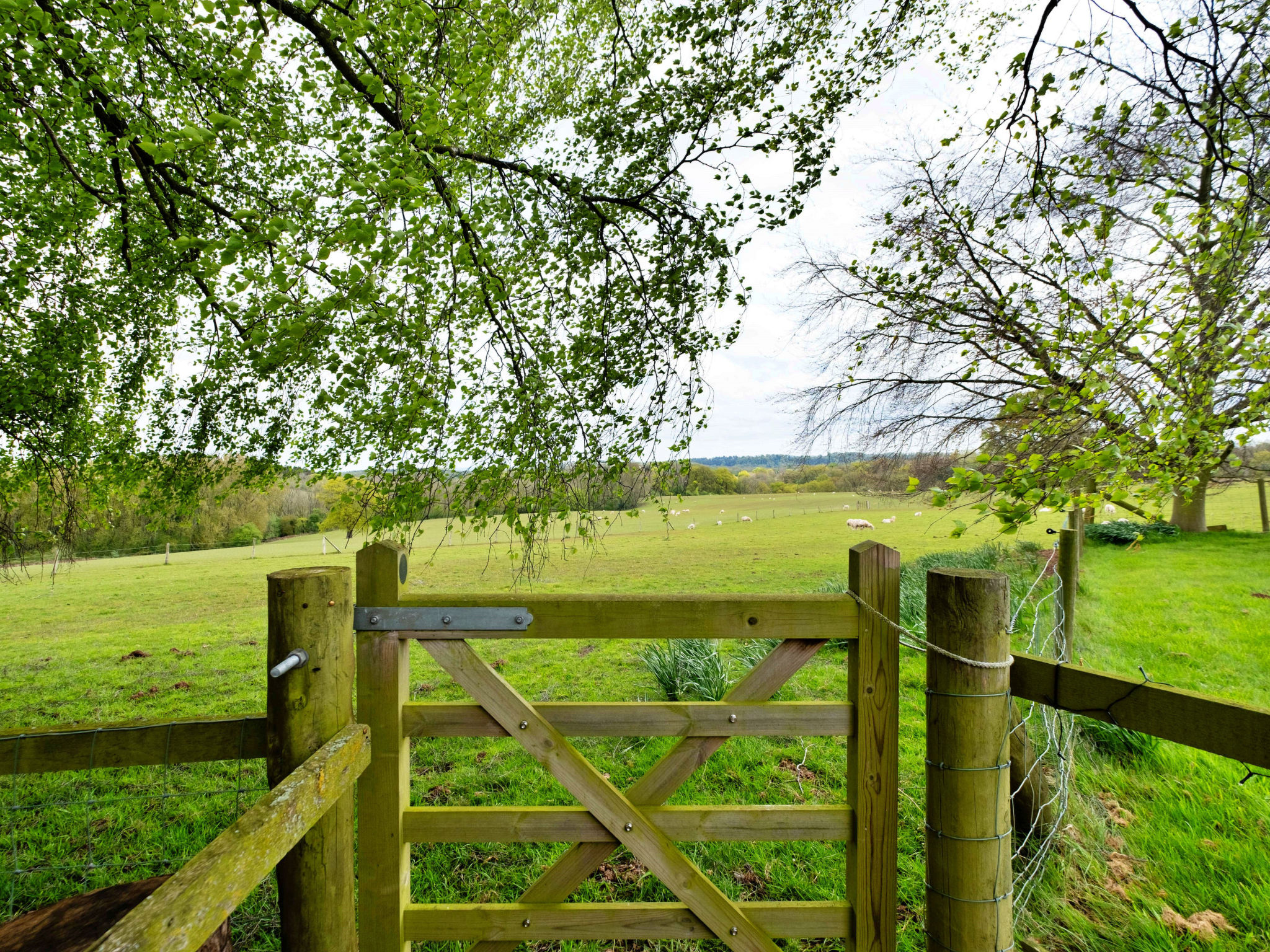 Hay and Hedgerow Glamping-Draußen