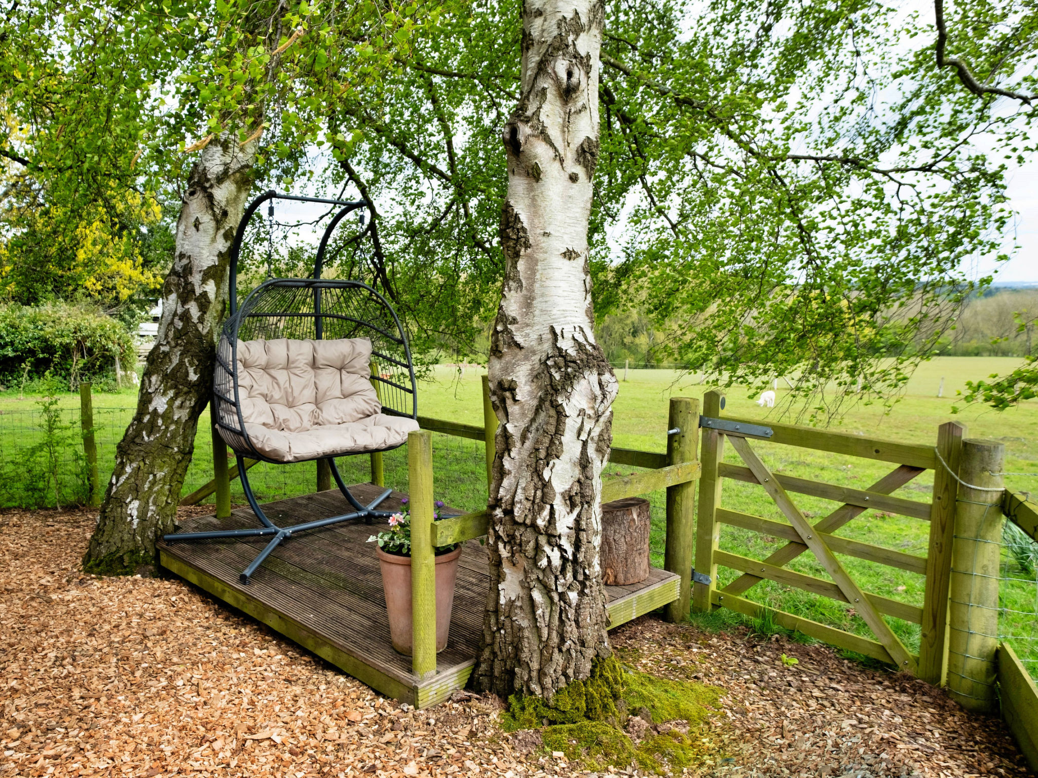 Hay and Hedgerow Glamping-Draußen
