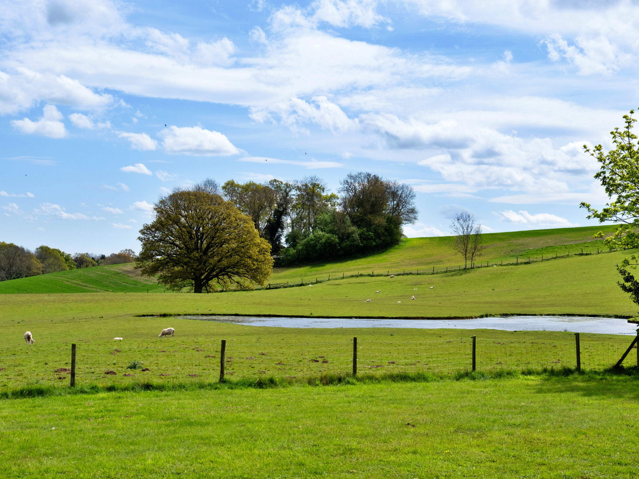 Hay and Hedgerow Glamping-Draußen