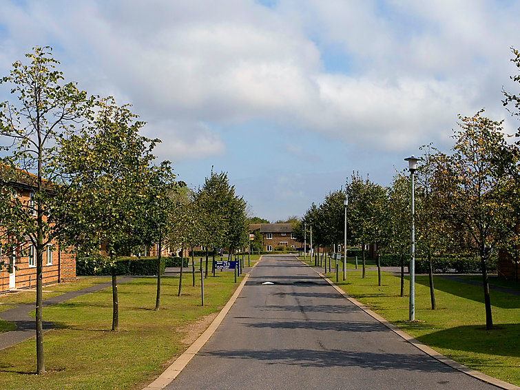 Photo of University Campus Park Wood
