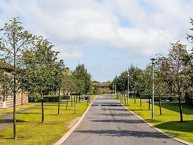 Photo of University Campus Park Wood