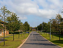 Feriebolig University Campus Park Wood