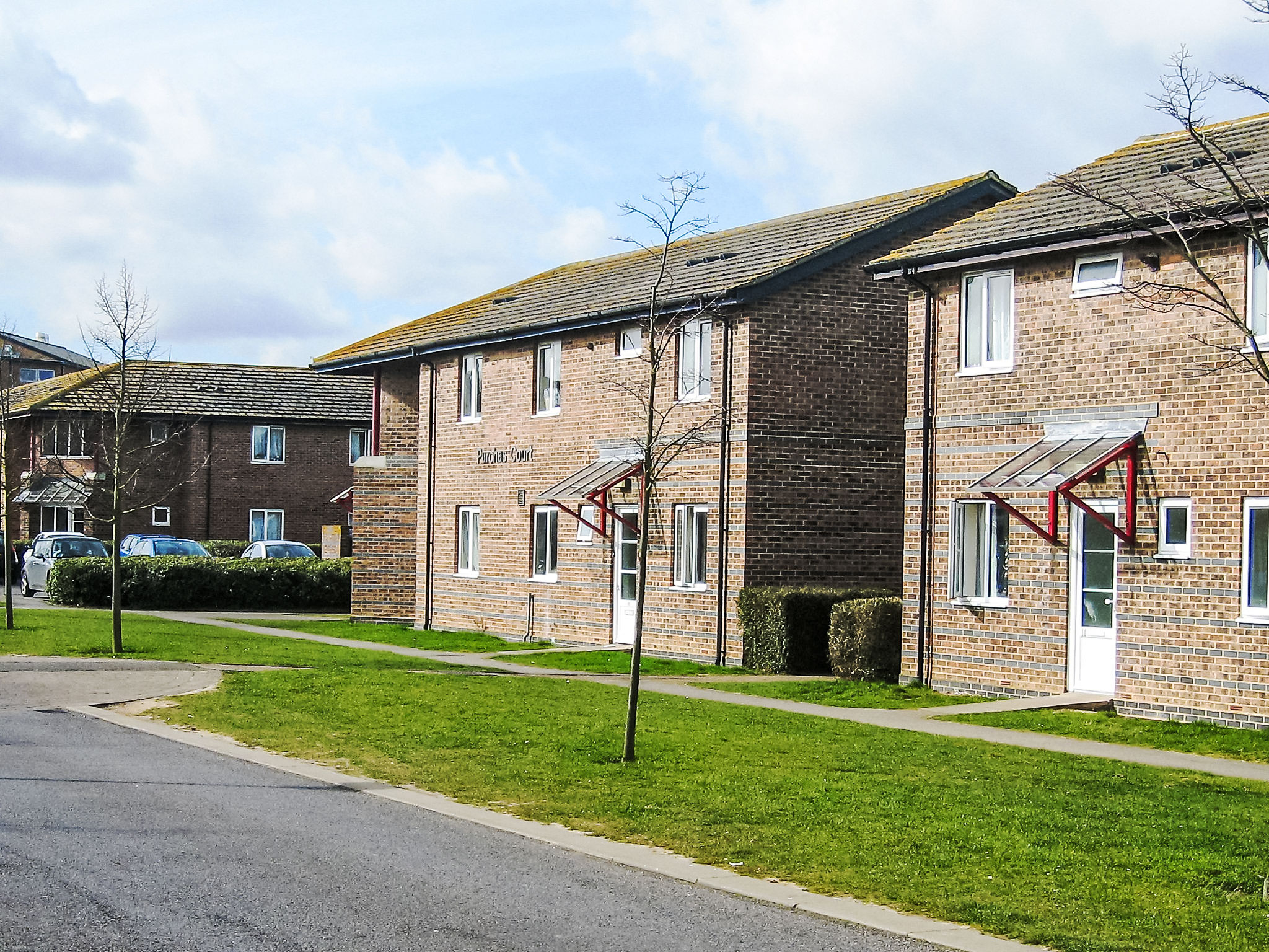 Photo of University Campus Park Wood
