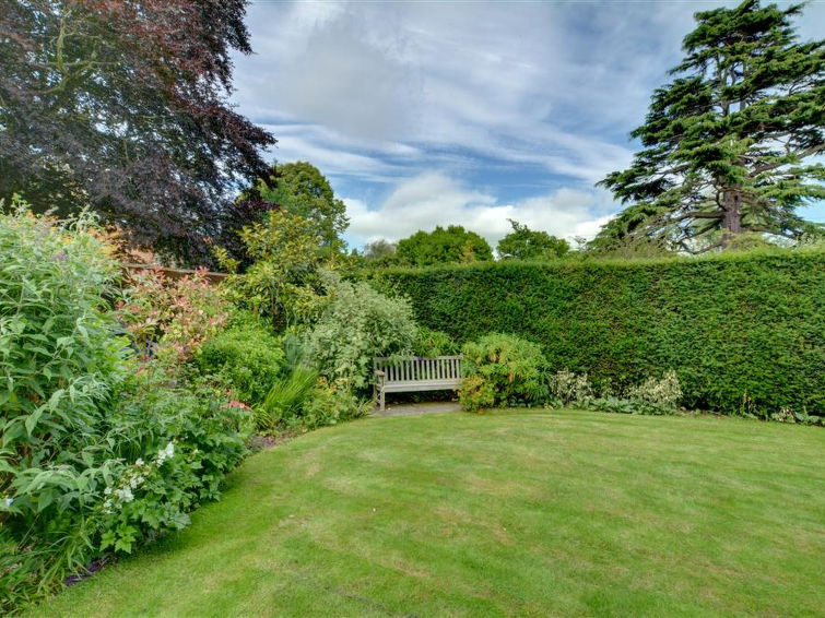 Photo of Garden