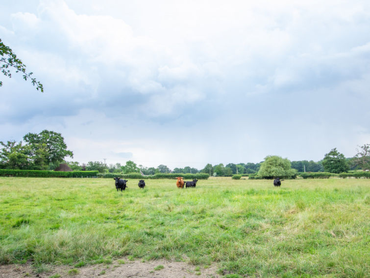 Photo of The Milking Parlour