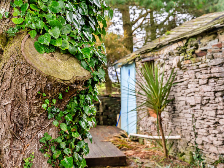 Photo of Fisherman's Cottage