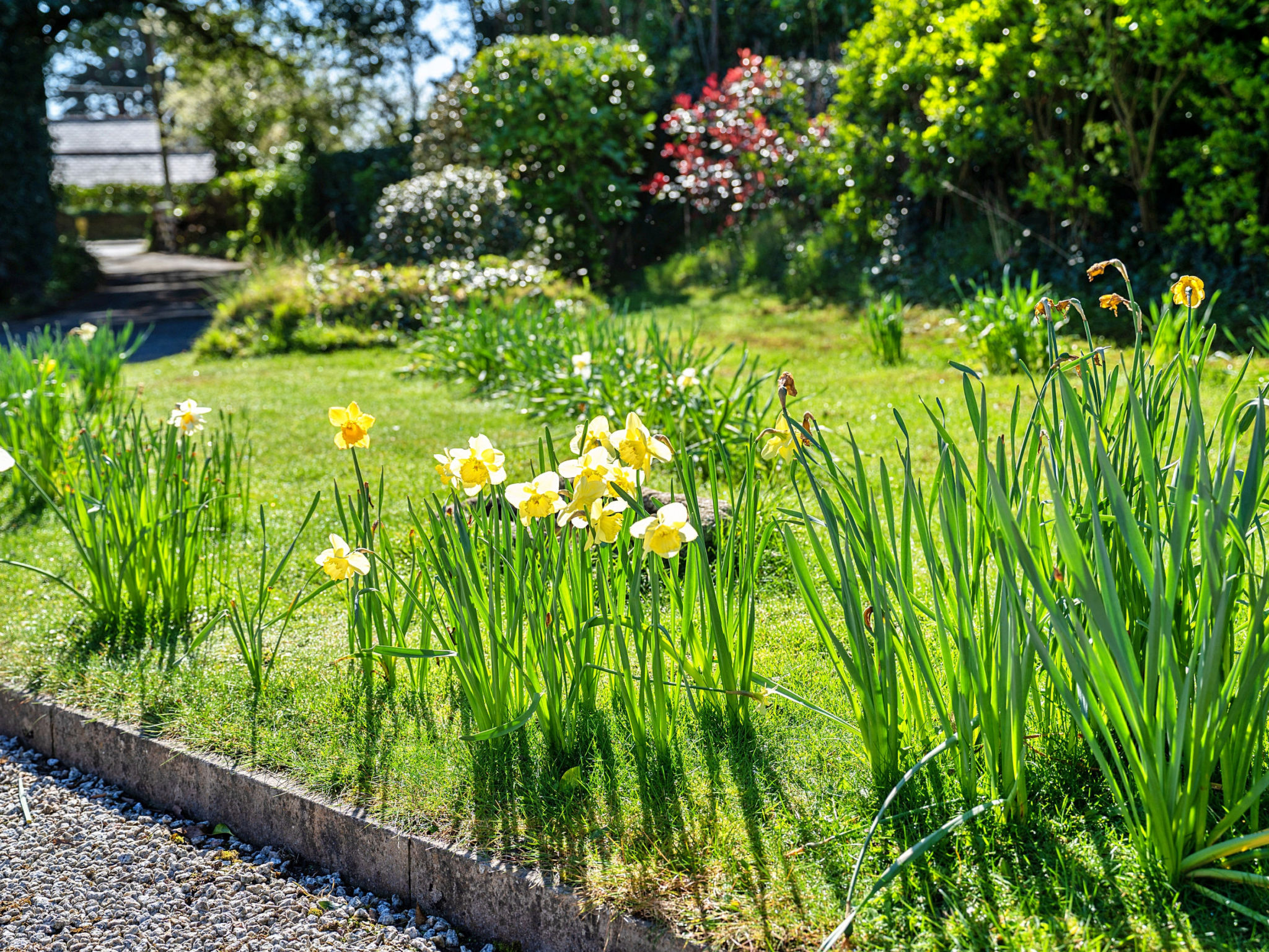 Sunny Nook-Outside