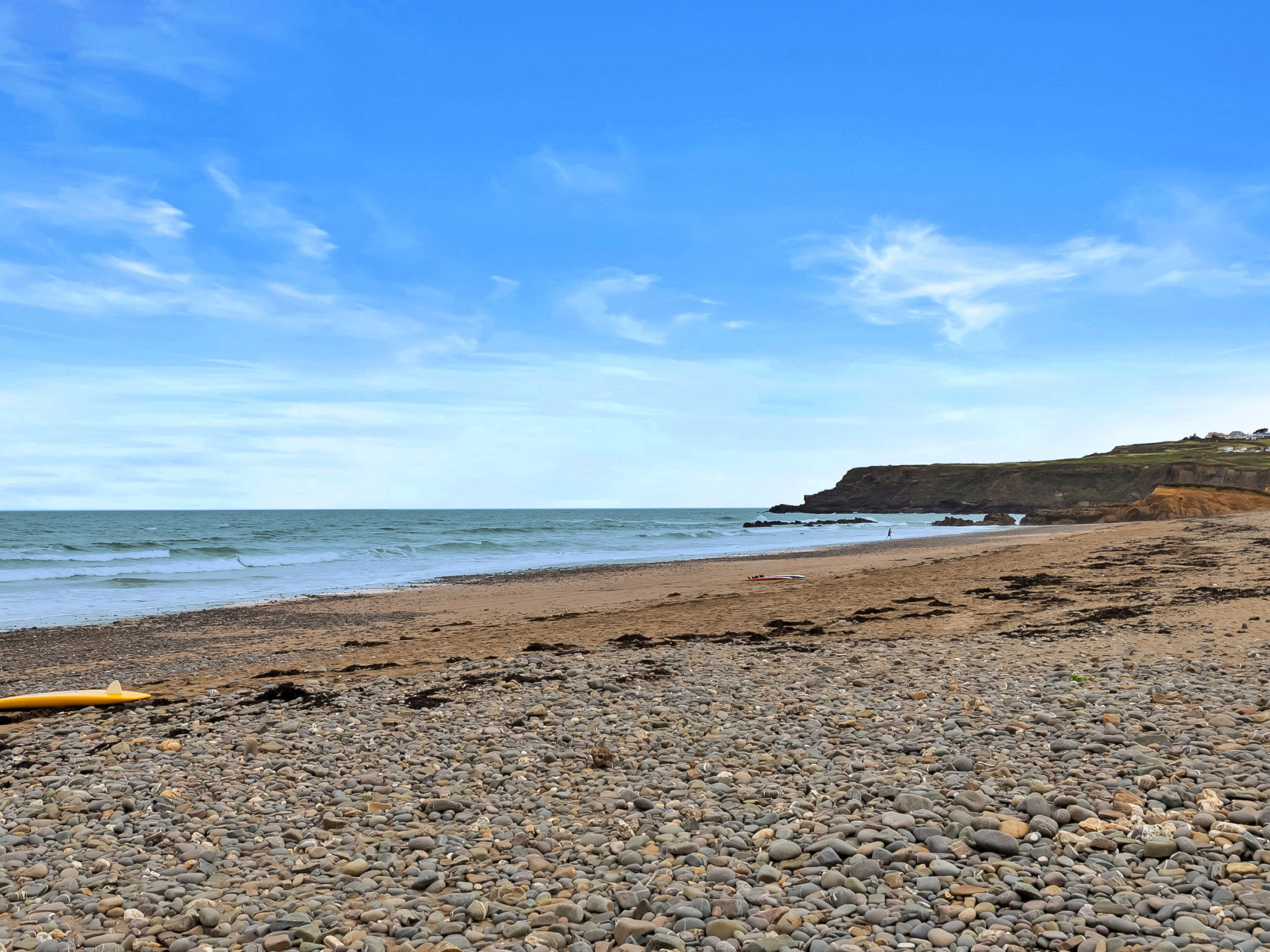 Sea Thrift at Widemouth Bay - Binnen