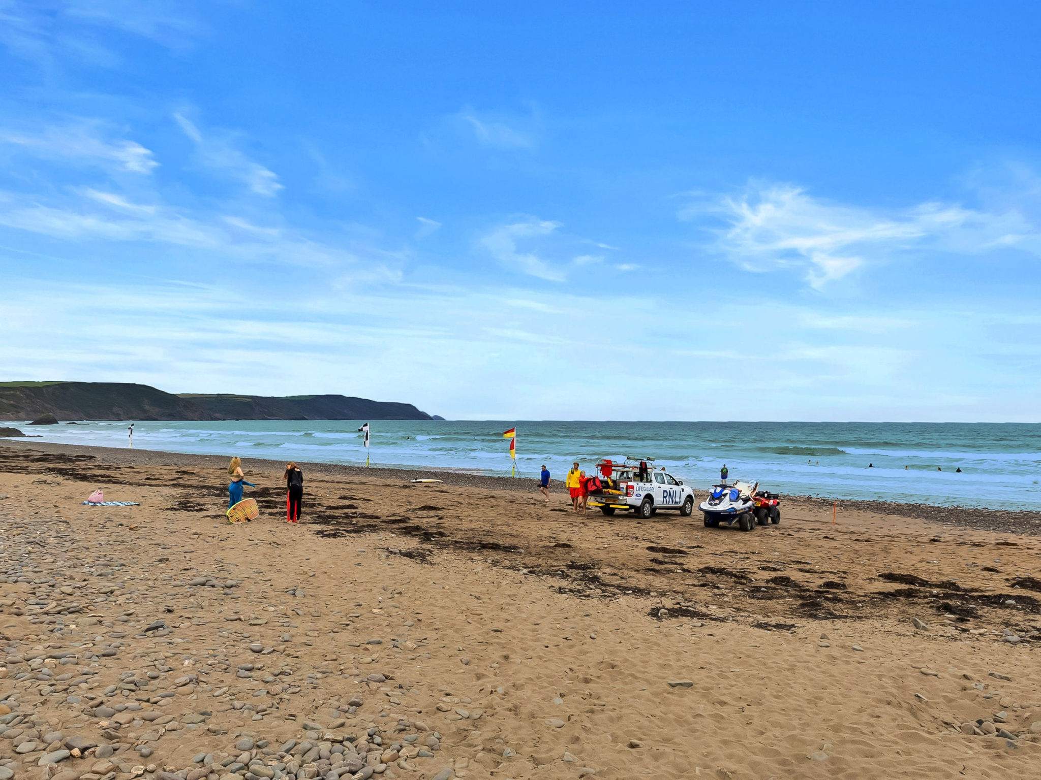 Sea Thrift at Widemouth Bay - Binnen