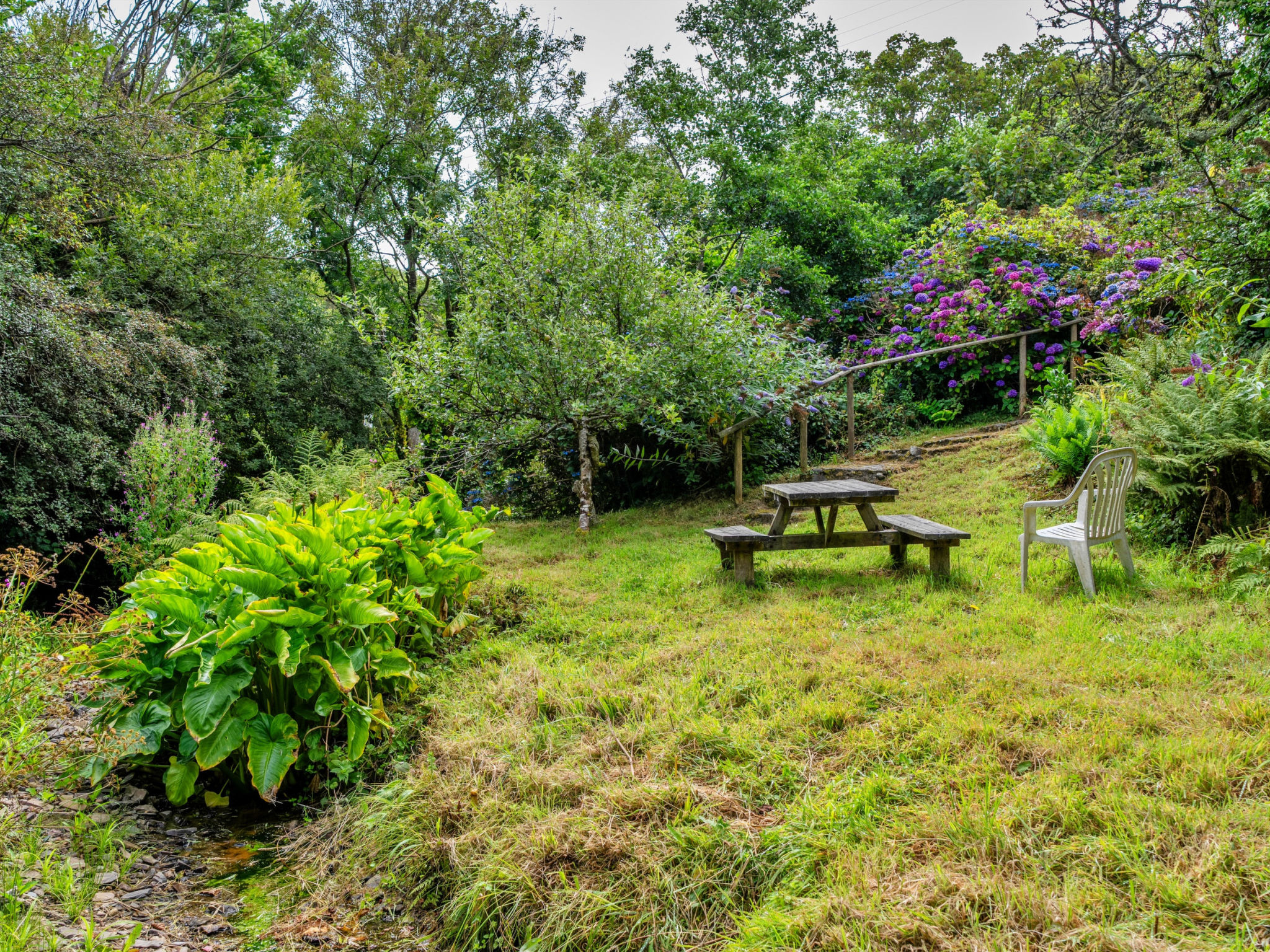 Millook Water - Buiten
