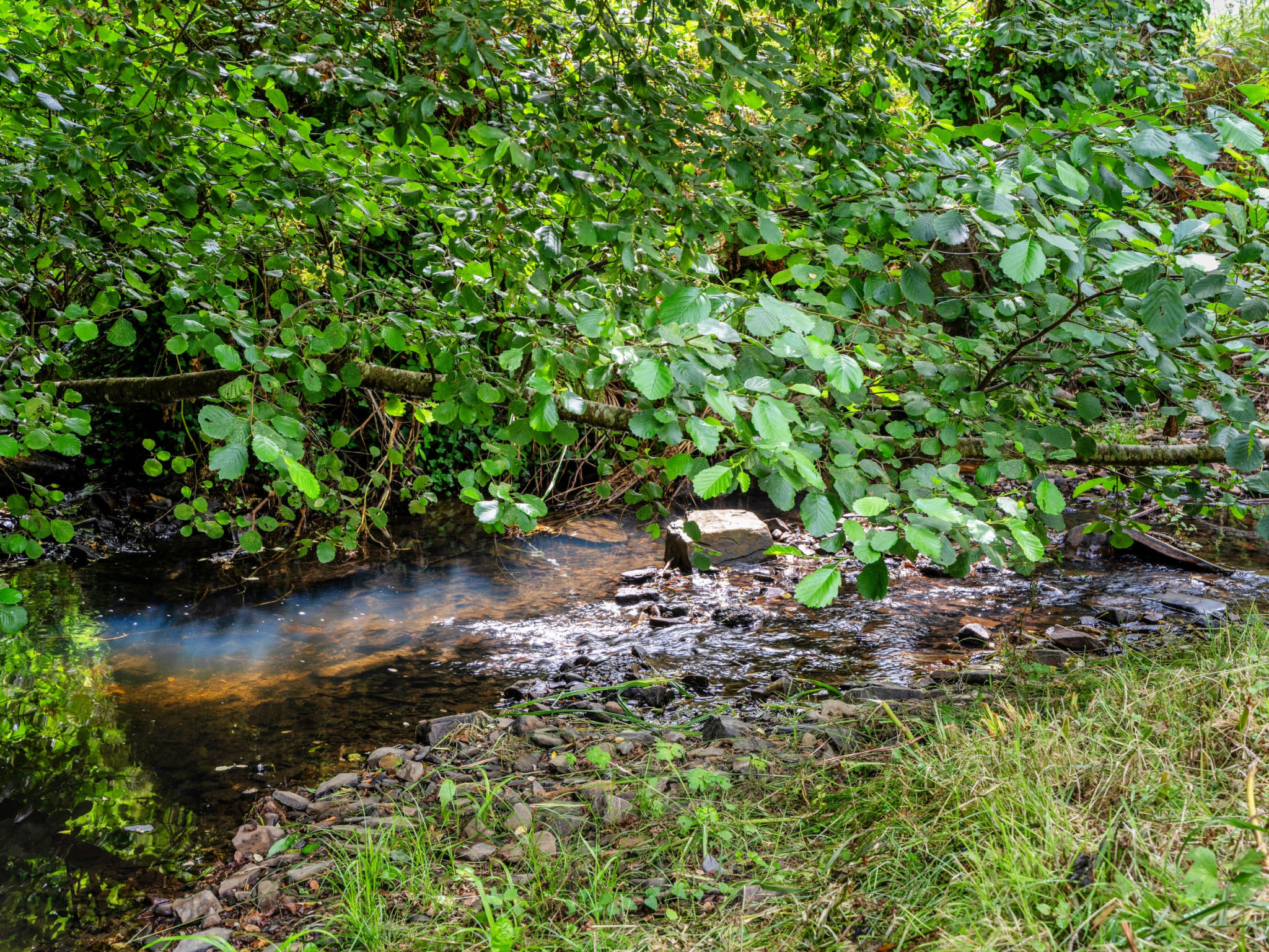 Millook Water - Buiten
