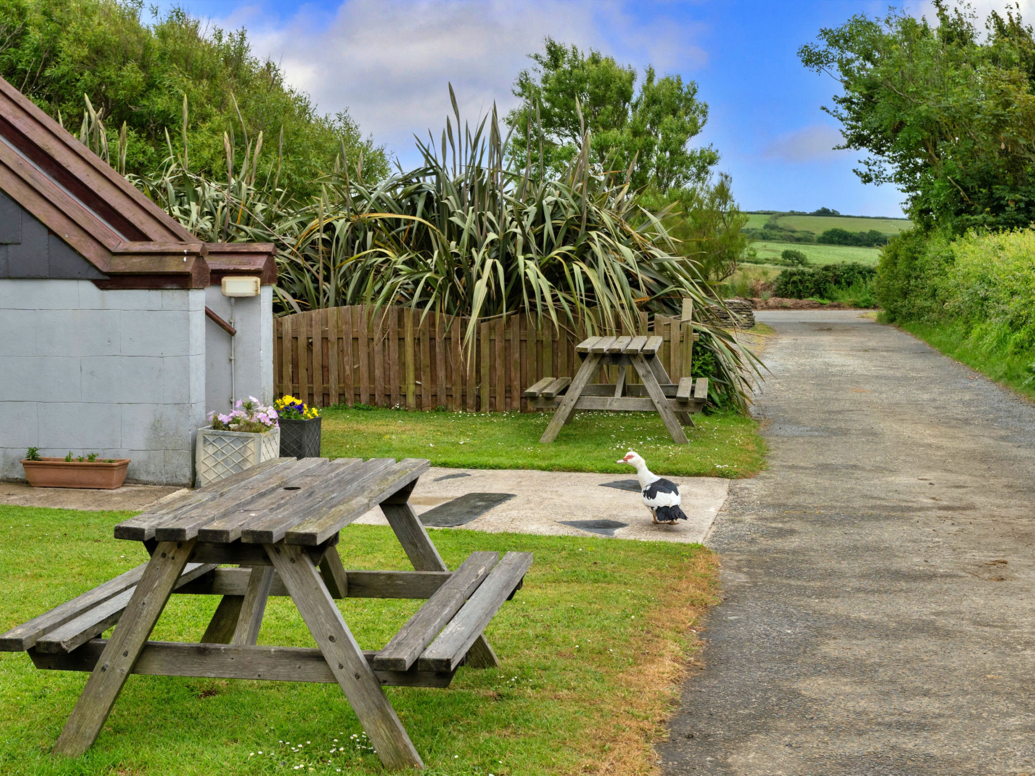 Squire, Quinceborough Farm - Buiten
