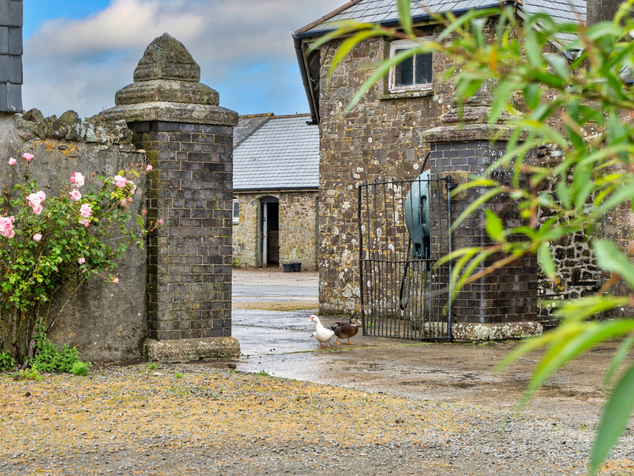 Barn, Quinceborough Farm - Buiten