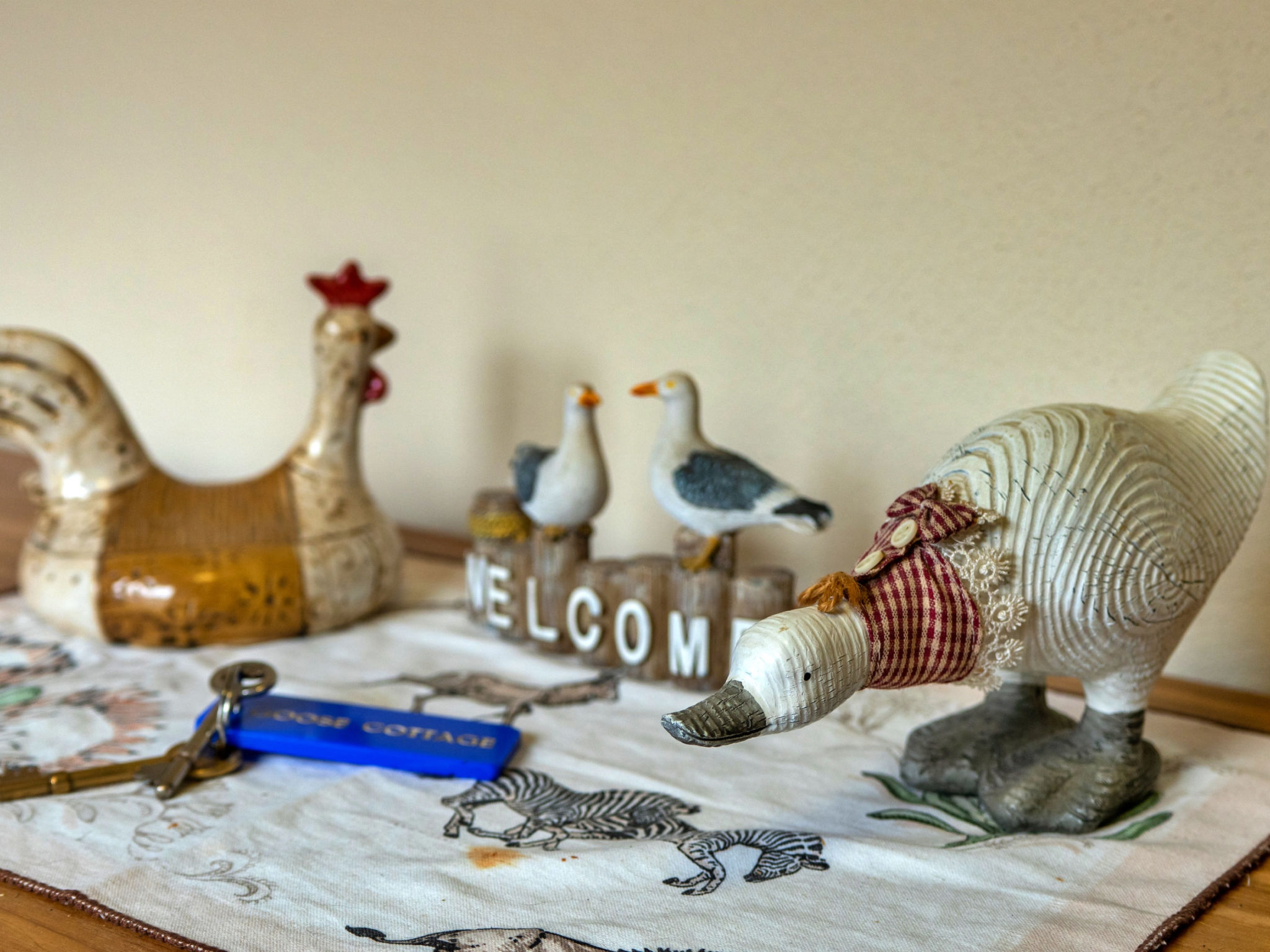 Goose, Quinceborough Farm - Buiten