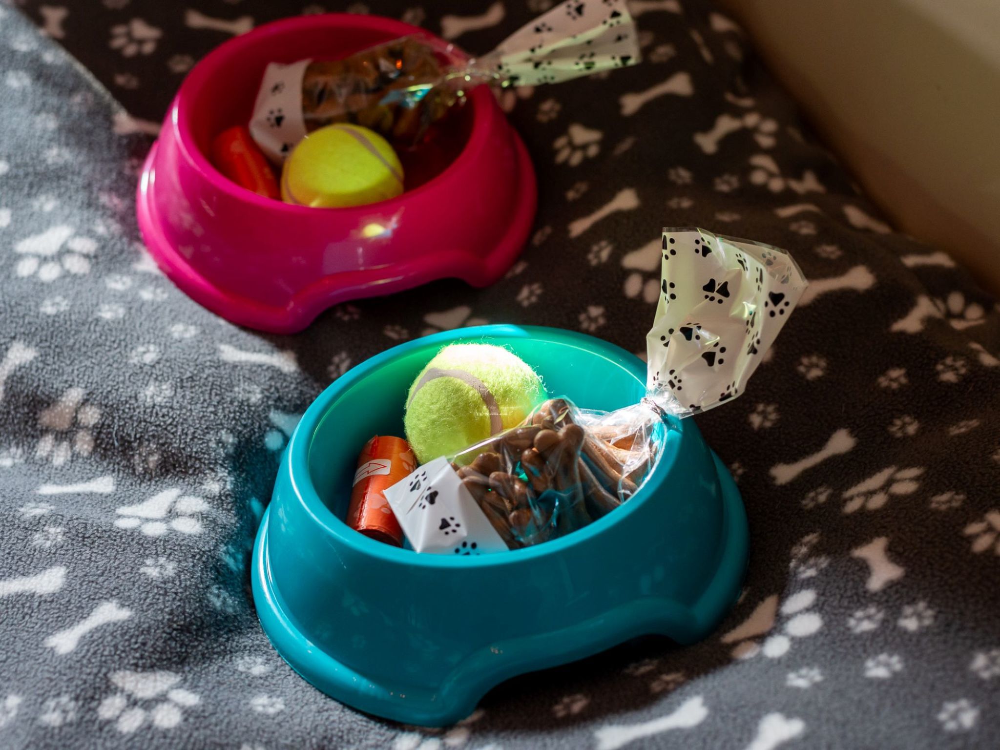 Photo of Seaside House