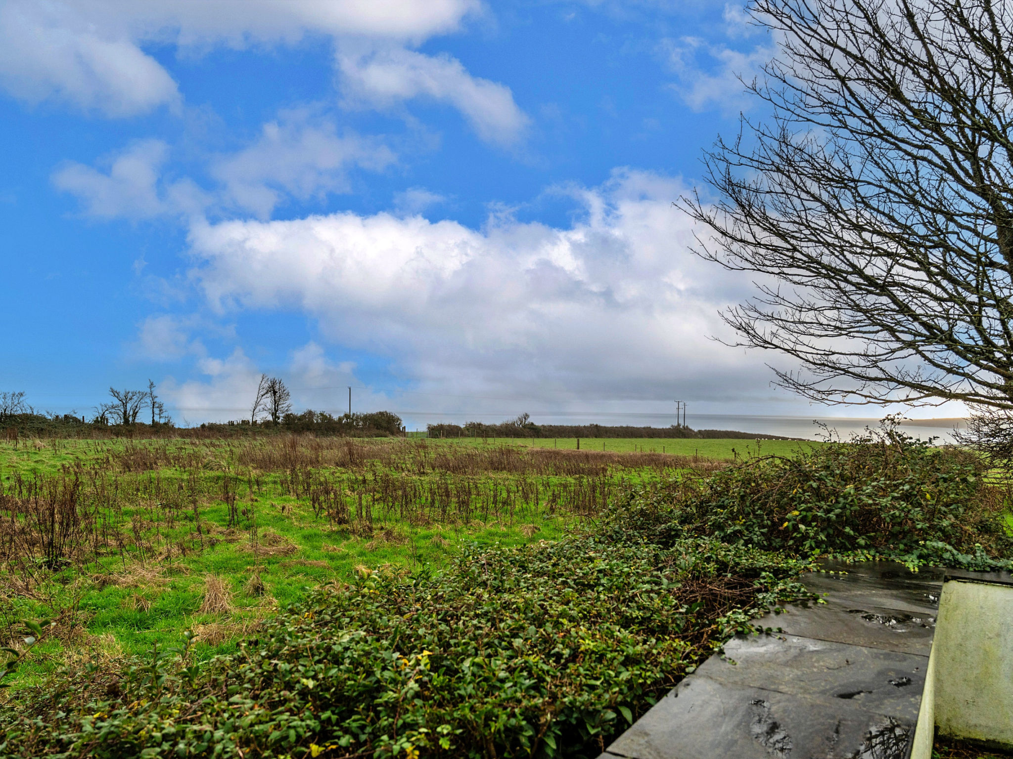 Dingles Cottage-Outside