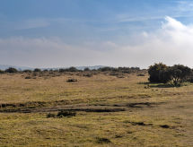 Stable Barn Apartment: sfeervol verblijf op Bodmin Moor voor 3 personen - thumbnail 6