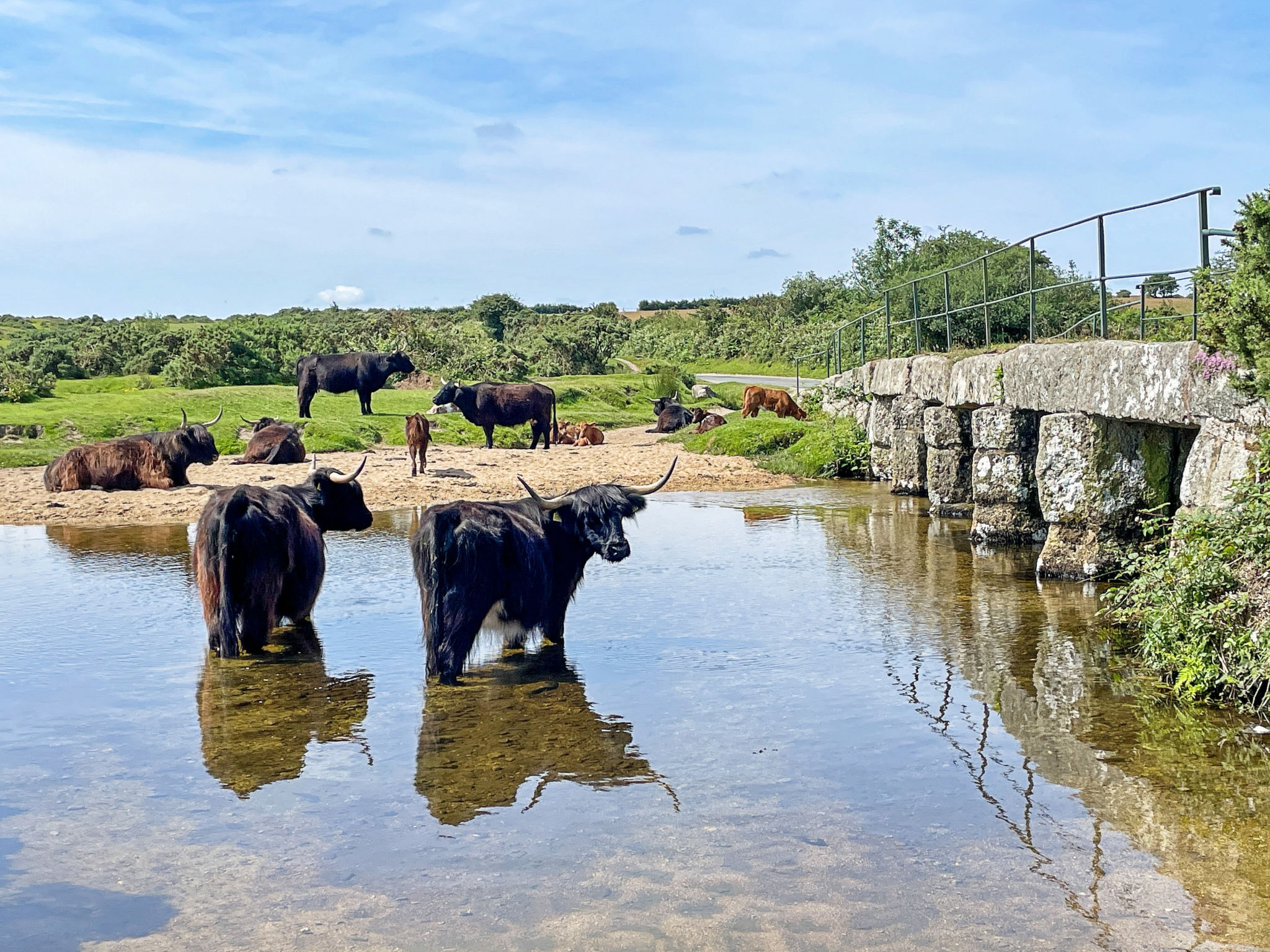Stable Barn Apartment at Bodmin Moor-Outside