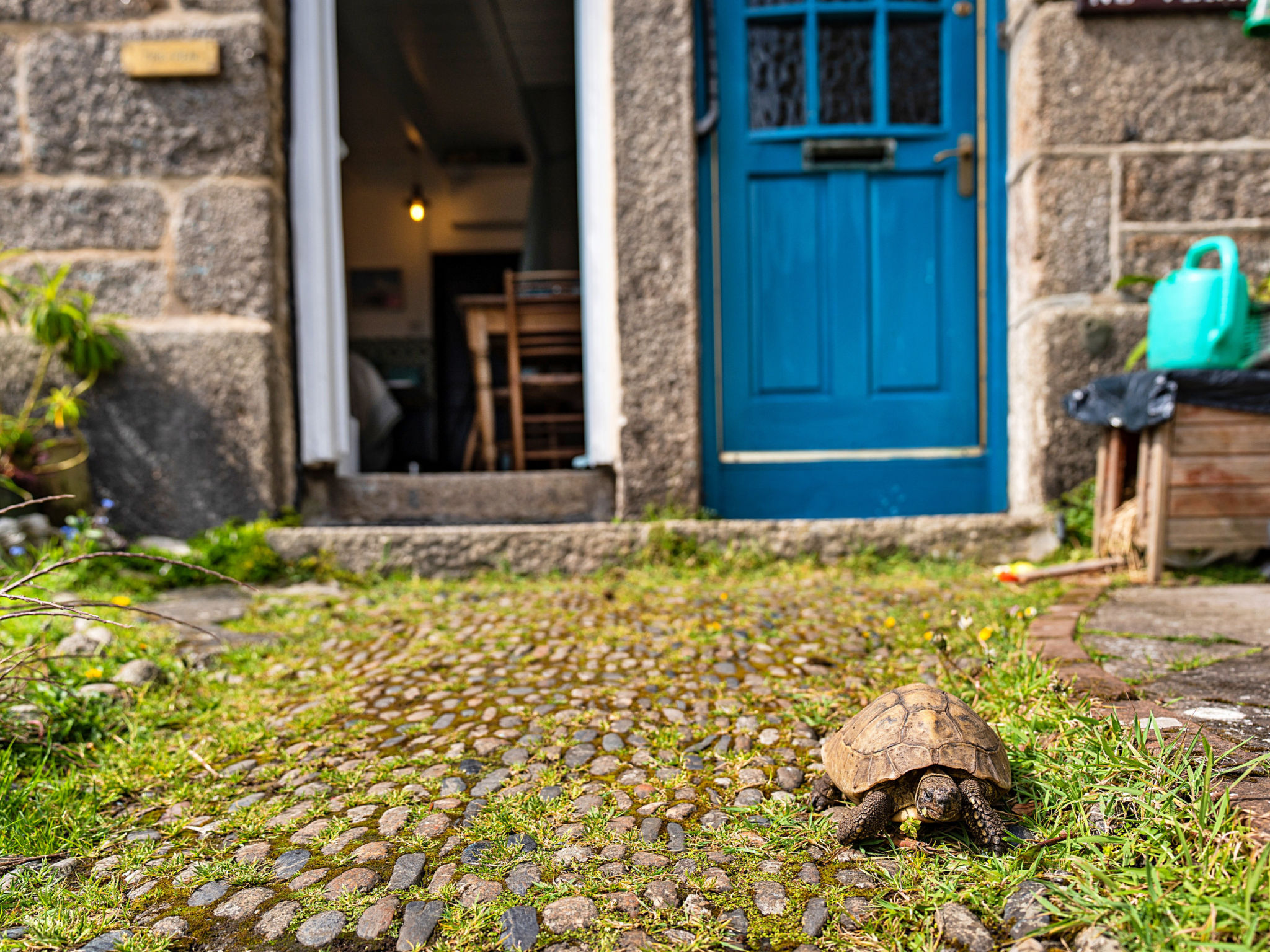 Cosy Mousehole Cottage with Sea Views-Buiten