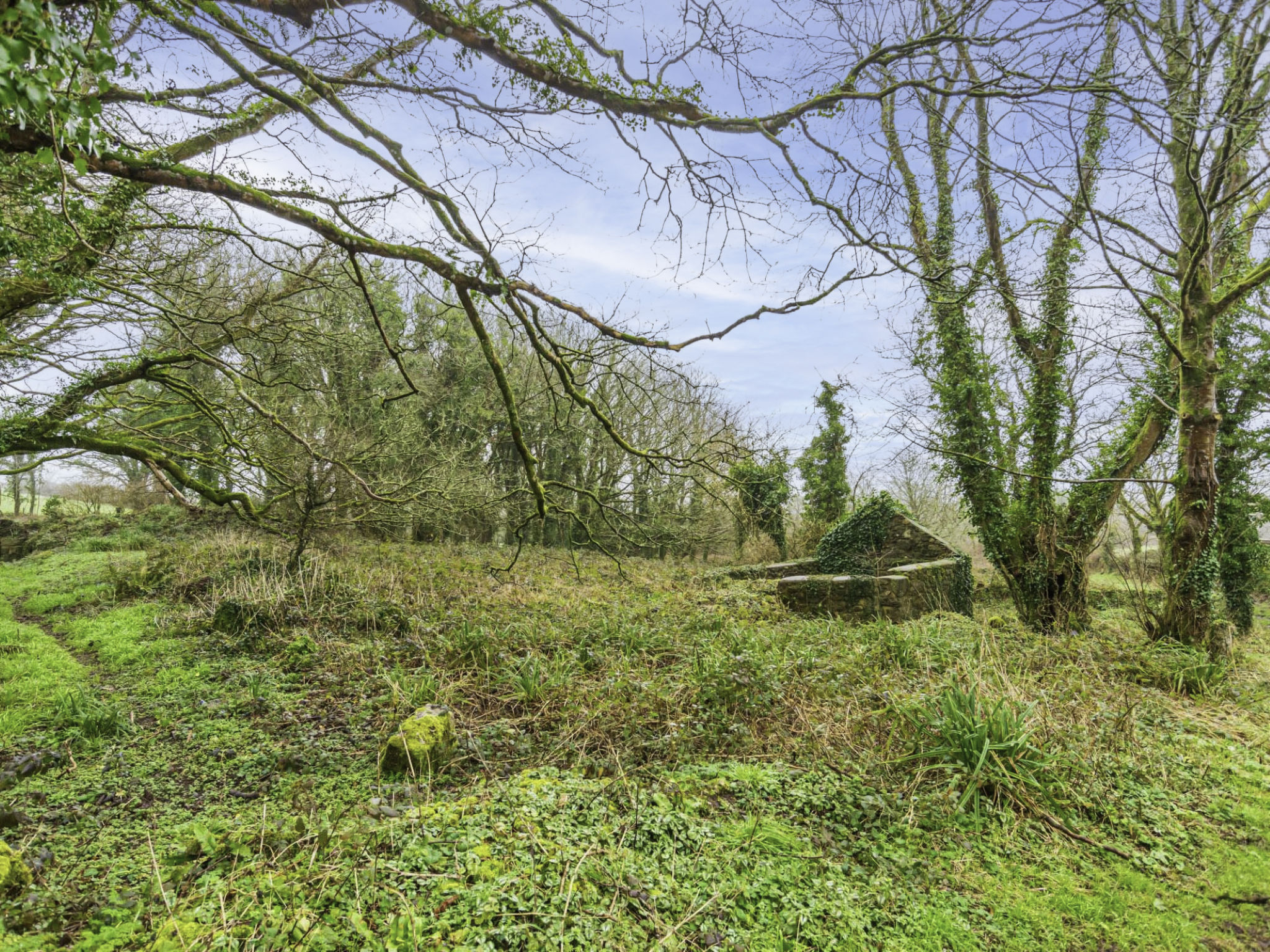 The Old Counting House-Area