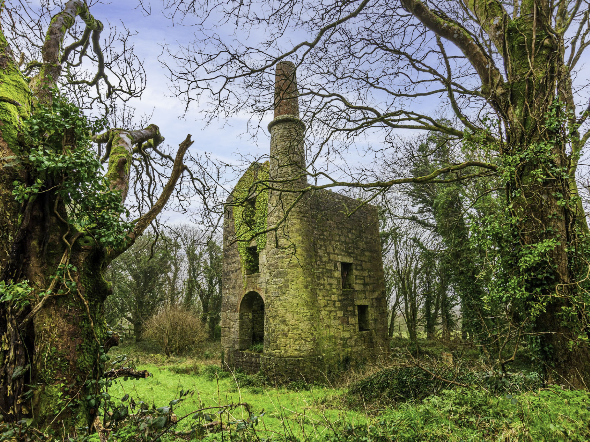 The Old Counting House-Area